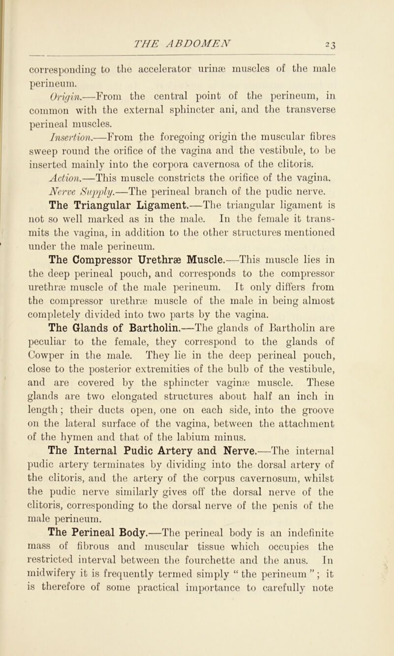 corresponding to the accelerator urinse muscles of the male perineum. Origin.—From the central point of the perineum, in common with the external sphincter ani, and the transverse perineal muscles. Insertion.—From the foregoing origin the muscular fibres sweep round the orifice of the vagina and the vestibule, to be inserted mainly into the corpora cavernosa of the clitoris. Action.—This muscle constricts the orifice of the vagina. Nerve Supply.—The perineal branch of the pudic nerve. The Triangular Ligament.—The triangular ligament is not so well marked as in the male. In the female it trans- mits the vagina, in addition to the other structures mentioned under the male perineum. The Compressor Urethrae Muscle.—This muscle lies in the deep perineal pouch, and corresponds to the compressor urethrae muscle of the male perineum. It only differs from the compressor urethrae muscle of the male in being almost completely divided into two parts by the vagina. The Glands of Bartholin.—The glands of Bartholin are peculiar to the female, they correspond to the glands of Cowper in the male. They lie in the deep perineal pouch, close to the posterior extremities of the bulb of the vestibule, and are covered by the sphincter vaginae muscle. These glands are two elongated structures about half an inch in length; their ducts open, one on each side, into the groove on the lateral surface of the vagina, between the attachment of the hymen and that of the labium minus. The Internal Pudic Artery and Nerve.—The internal pudic artery terminates by dividing into the dorsal artery of the clitoris, and the artery of the corpus cavernosum, whilst the pudic nerve similarly gives off the dorsal nerve of the clitoris, corresponding to the dorsal nerve of the penis of the male perineum. The Perineal Body. —The perineal body is an indefinite mass of fibrous and muscular tissue winch occupies the restricted interval between the fourchette and the anus. In midwifery it is frequently termed simply “ the perineum ” ; it is therefore of some practical importance to carefully note