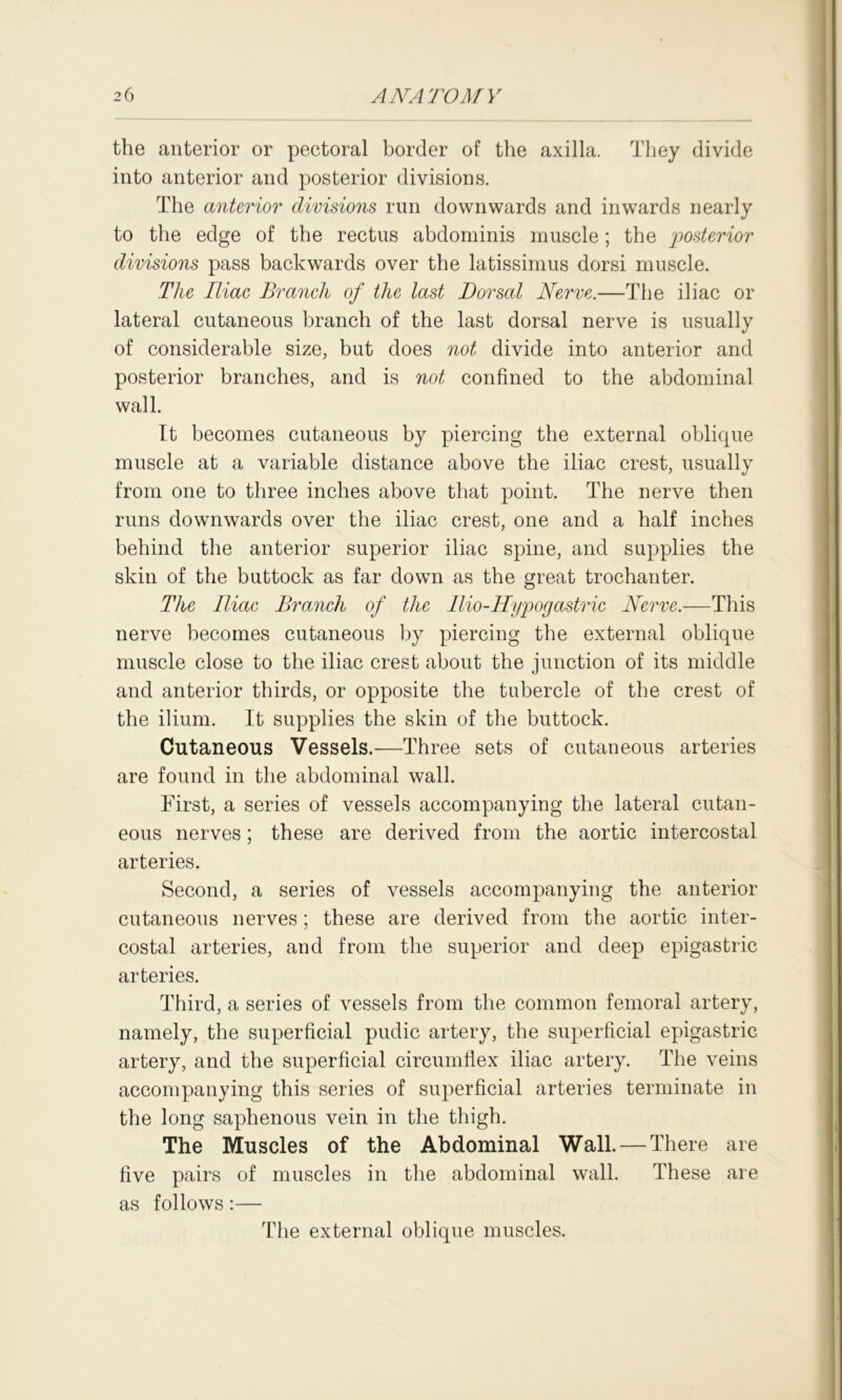 the anterior or pectoral border of the axilla. They divide into anterior and posterior divisions. The anterior divisions run downwards and inwards nearly to the edge of the rectus abdominis muscle; the posterior divisions pass backwards over the latissimus dorsi muscle. The Iliac Branch of the last Dorsal Nerve.—The iliac or lateral cutaneous branch of the last dorsal nerve is usually of considerable size, but does not divide into anterior and posterior branches, and is not confined to the abdominal wall. It becomes cutaneous by piercing the external oblique muscle at a variable distance above the iliac crest, usually from one to three inches above that point. The nerve then runs downwards over the iliac crest, one and a half inches behind the anterior superior iliac spine, and supplies the skin of the buttock as far down as the great trochanter. The Iliac Branch of the llio-Hypogastric Nerve.—This nerve becomes cutaneous by piercing the external oblique muscle close to the iliac crest about the junction of its middle and anterior thirds, or opposite the tubercle of the crest of the ilium. It supplies the skin of the buttock. Cutaneous Vessels.—Three sets of cutaneous arteries are found in the abdominal wall. First, a series of vessels accompanying the lateral cutan- eous nerves; these are derived from the aortic intercostal arteries. Second, a series of vessels accompanying the anterior cutaneous nerves ; these are derived from the aortic inter- costal arteries, and from the superior and deep epigastric arteries. Third, a series of vessels from the common femoral artery, namely, the superficial pudic artery, the superficial epigastric artery, and the superficial circumflex iliac artery. The veins accompanying this series of superficial arteries terminate in the long saphenous vein in the thigh. The Muscles of the Abdominal Wall. — There are five pairs of muscles in the abdominal wall. These are as follows:— The external oblique muscles.