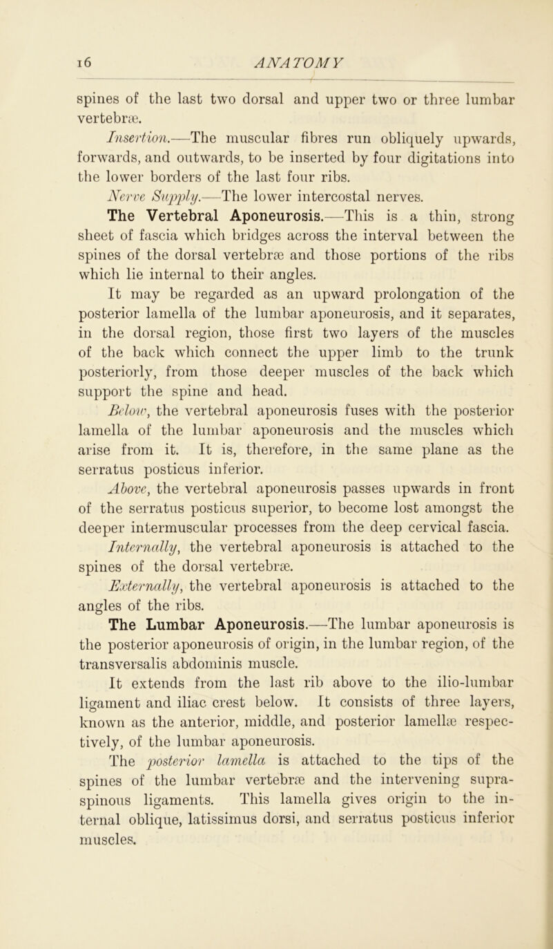 — f — spines of the last two dorsal and upper two or three lumbar vertebrae. Insertion.—The muscular fibres run obliquely upwards, forwards, and outwards, to be inserted by four digitations into the lower borders of the last four ribs. Nerve Supply.—The lower intercostal nerves. The Vertebral Aponeurosis.—This is a thin, strong sheet of fascia which bridges across the interval between the spines of the dorsal vertebrae and those portions of the ribs which lie internal to their angles. It may be regarded as an upward prolongation of the posterior lamella of the lumbar aponeurosis, and it separates, in the dorsal region, those first two layers of the muscles of the back which connect the upper limb to the trunk posteriorly, from those deeper muscles of the back which support the spine and head. Belov:, the vertebral aponeurosis fuses with the posterior lamella of the lumbar aponeurosis and the muscles which arise from it. It is, therefore, in the same plane as the serratus posticus inferior. Above, the vertebral aponeurosis passes upwards in front of the serratus posticus superior, to become lost amongst the deeper intermuscular processes from the deep cervical fascia. Internally, the vertebral aponeurosis is attached to the spines of the dorsal vertebrae. Externally, the vertebral aponeurosis is attached to the angles of the ribs. The Lumbar Aponeurosis.—The lumbar aponeurosis is the posterior aponeurosis of origin, in the lumbar region, of the transversalis abdominis muscle. It extends from the last rib above to the ilio-lumbar ligament and iliac crest below. It consists of three layers, known as the anterior, middle, and posterior lamellae respec- tively, of the lumbar aponeurosis. The posterior lamella is attached to the tips of the spines of the lumbar vertebrae and the intervening supra- spinous ligaments. This lamella gives origin to the in- ternal oblique, latissimus dorsi, and serratus posticus inferior muscles.
