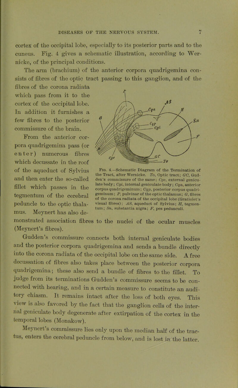 cortex of the occipital lobe, especially to its posterior parts and to the cuneus. Fig. 4 gives a schematic illustration, according to Wer- nicke, of the principal conditions. The arm (brachium) of the anterior corpora quadrigemina con- sists of fibres of the optic tract passing to this ganglion, and of the fibres of the corona radiata which pass from it to the cortex of the occipital lobe. In addition it furnishes a few fibres to the posterior commissure of the brain. From the anterior cor- pora quadrigemina pass (or enter) numerous fibres which decussate in the roof of the aqueduct of Sylvius and then enter the so-called fillet which passes in the tegmentum of the cerebral peduncle to the optic thala- mus. Meynert has also de- monstrated association fibres to the nuclei of the ocular muscles (Meynert’s fibres). Gudden’s commissure connects both internal geniculate bodies and the posterior corpora quadrigemina and sends a bundle directly into the corona radiata of the occipital lobe on the same side. A free decussation of fibres also takes place between the posterior corpora quadrigemina; these also send a bundle of fibres to the fillet. To judge from its terminations Gudden’s commissure seems to be con- nected with hearing, and in a certain measure to constitute an audi- tory chiasm. It remains intact after the loss of both eyes. This view is also favored by the fact that the ganglion cells of the inter- nal geniculate body degenerate after extirpation of the cortex in the temporal lobes (Monakow). Meynert’s commissure lies only upon the median half of the trac- tus, enters the cerebral peduncle from below, and is lost in the latter. Fig. 4.—Schematic Diagram of the Termination of the Tract, after Wernicke. To, Optic tract; GC, Gud- den's commissure of the same; Cge, external genicu- late body; Cgi, internal geniculate body; Cqa, anterior corpus quadrigeminum; Cqp, posterior corpus quadri- geminum; P, pulvinar of the optic thalamus; ff, fibres of the corona radiata of the occipital lobe (Gratiolet’s visual fibres); AS, aqueduct of Sylvius; H, tegmen- tum; Sn, substantia nigra; P, pes pedunculi.