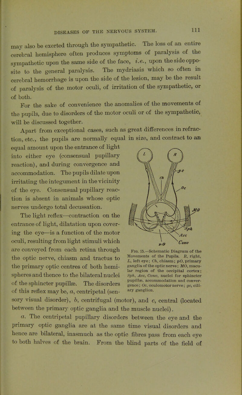 may also be exerted through the sympathetic. The loss of an entire cerebral hemisphere often produces symptoms of paralysis of the sympathetic upon the same side of the face, i.e., upon the side oppo- site to the general paralysis. The mydriasis which so often in cerebral hemorrhage is upon the side of the lesion, may be the result of paralysis of the motor oculi, of irritation of the sympathetic, or of both. For the sake of convenience the anomalies of the movements of the pupils, due to disorders of the motor oculi or of the sympathetic, will be discussed together. Apart from exceptional cases, such as great differences in refrac- tion, etc., the pupils are normally equal in size, and contract to an equal amount upon the entrance of light into either eye (consensual pupillary reaction), and during convergence and accommodation. The pupils dilate upon irritating the integument in the vicinity of the ej^e. Consensual pupillary reac- tion is absent in animals whose optic nerves undergo total decussation. The light reflex—contraction on the entrance of light, dilatation upon cover- ing the eye—is a function of the motor oculi, resulting from light stimuli which are conveyed from each retina through the optic nerve, chiasm and tractus to the primary optic centres of both hemi- spheres and thence to the bilateral nuclei of the sphincter pupillse. The disorders of this reflex may be, a, centripetal (sen- sory visual disorder), b, centrifugal (motor), and c, central (located between the primary optic ganglia and the muscle nuclei). a. The centripetal pupillary disorders between the eye and the primary optic ganglia are at the same time visual disorders and hence are bilateral, inasmuch as the optic fibres pass from each eye to both halves of the brain. From the blind parts of the field of Fig. 15.—Schematic Diagram of the Movements of the Pupils. R, right, L, left eye; Ch, chiasm; pO, primary ganglia of the optic nerve; MO, macu- lar region of the occipital cortex; Sph, Acc, Conv, nuclei for sphincter pupillse, accommodation and conver- gence; Oc, oculomotor nerve; gc, cili- ary ganglion.