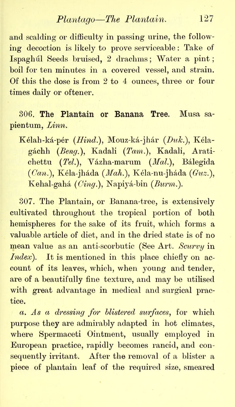 and scalding or difficulty in passing urine, the follow- ing decoction is likely to prove serviceable: Take of Ispaghul Seeds bruised, 2 drachms; Water a pint; boil for ten minutes in a covered vessel, and strain. Of this the dose is from 2 to 4 ounces, three or four times daily or oftener. 306. The Plantain or Banana Tree. Musa sa- pientum, Linn. Kelah-k4-per {Hind.), Mouz-kd-jhar (Duk.), Kela- gdchh (Beng.), Kadali (Tarn,), Kadali, Arati- chettu (Tel.), Ydzha-marum (MaL), Bdlegida (0(171.), Kela-jhdda (Mah.), Kela-nu-jhada (Guz.), Kehal-gaha (Cing.), Napiyii-bin (Burm.). 307. The Plantain, or Banana-tree, is extensively cultivated throughout the tropical portion of both hemispheres for the sake of its fruit, which forms a valuable article of diet, and in the dried state is of no mean value as an anti-scorbutic (See Art. Scurvy in Index). It is mentioned in this place chiefly on ac- count of its leaves, which, when young and tender, are of a beautifully fine texture, and may be utilised with great advantage in medical and surgical prac- tice. a. As a dressing for blistered surfaces, for which purpose they are admirably adapted in hot climates, where Spermaceti Ointment, usually employed in European practice, rapidly becomes rancid, and con- sequently irritant. After the removal of a blister a piece of plantain leaf of the required size, smeared