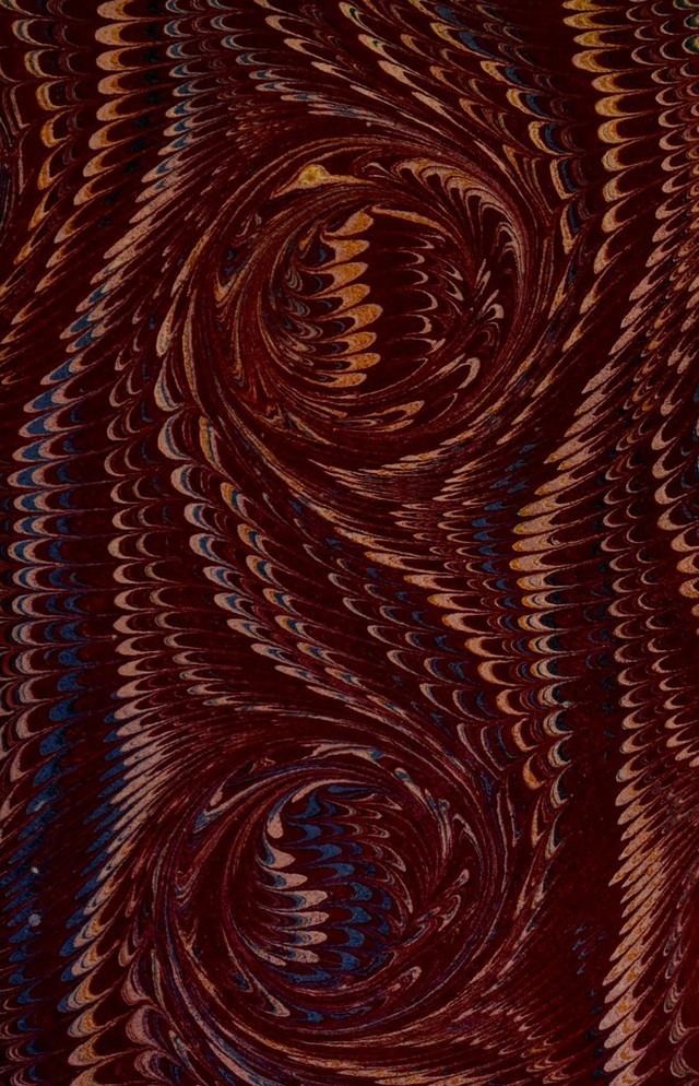 No text description is available for this image