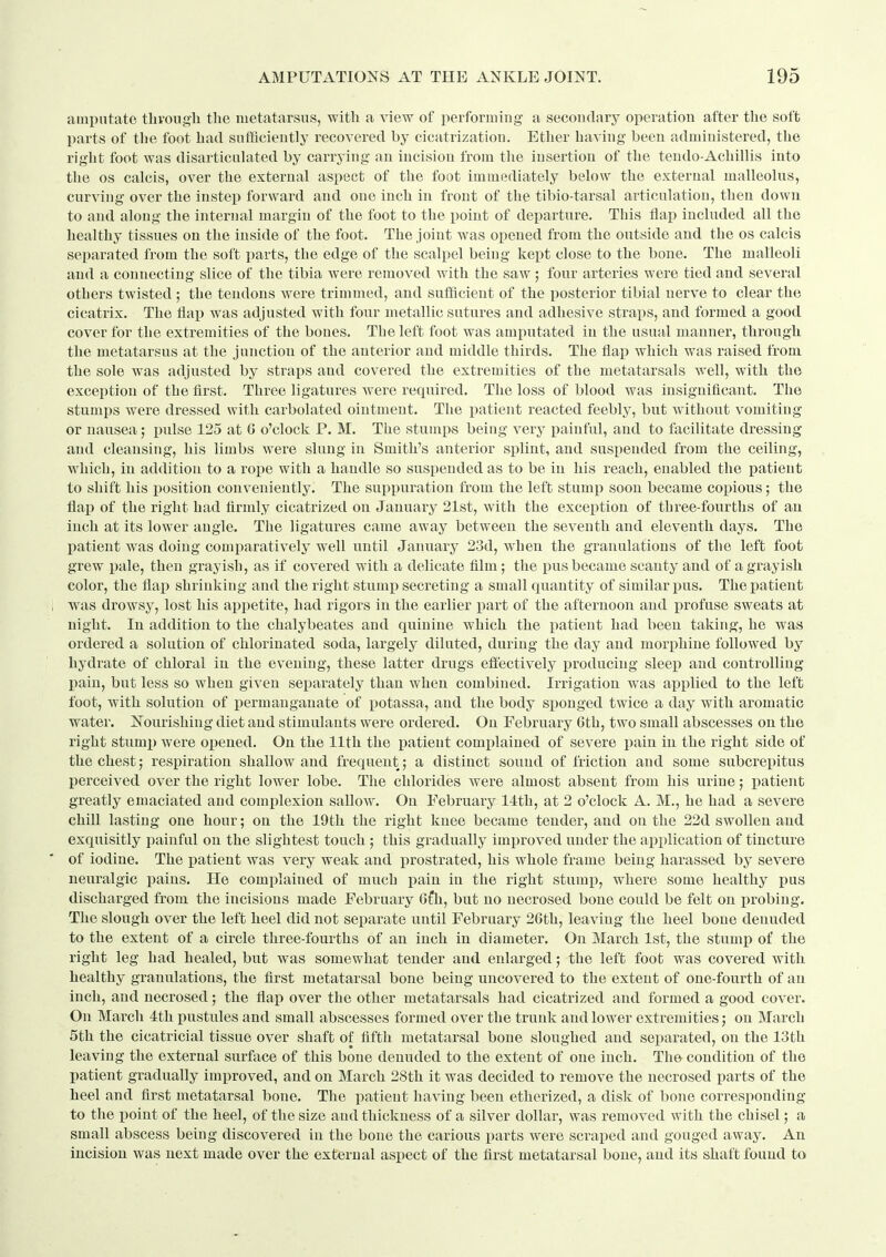 amputate tlivougli the metatarsus, with a view of performing a secondary operation after the soft parts of the foot had sufficiently recovered by cicatrization. Ether having been administered, the right foot was disarticukited by carrying an incision from the insertion of the tendo-Achillis into tlie OS calcis, over the external aspect of the foot immediately below the external malleolus, curving over the instep forward and one inch in front of the tibio-tarsal articulation, then down to and along the internal margin of the foot to the point of departure. This flap included all the healthy tissues on the inside of the foot. The joint was opened from the outside and the os calcis separated from the soft parts, the edge of the scalpel being kept close to the bone. The malleoli and a connecting slice of the tibia were removed with the saw; four arteries were tied and several others twisted ; the tendons were trimmed, and sufficient of the posterior tibial nerve to clear the cicatrix. The flap was adjusted with four metallic sutures and adhesive straps, and formed a good cover for the extremities of the bones. The left foot was amputated in the usual manner, through the metatarsus at the junction of the anterior and middle thirds. The flap which was raised from the sole was adjusted by straps and covered the extremities of the metatarsals well, with the exception of the first. Three ligatures were required. The loss of blood was insignificant. The stumps were dressed with carbolated ointment. The iiatient reacted feebly, but without vomiting or nausea; pulse 125 at C o'clock P. M. The stumps being very painful, and to facilitate dressing and cleansing, his limbs were slung in Smith's anterior splint, and suspended from the ceiling, which, in addition to a rope with a handle so suspended as to be in his reach, enabled the patient to shift his i^osition conveniently. The suppuration from the left stump soon became copious; the flaj) of the right had firmly cicatrized on January 21st, with the exception of three-fourths of an inch at its lower angle. The ligatures came away between the seventh and eleventh days. The patient was doing comparatively well until January 23d, when the granulations of the left foot grew i)ale, then grayish, as if covered with a delicate film; the pus became scanty and of a grayish color, the flap shrinking and the right stump secreting a small quantity of similar pus. The patient ; was drowsy, lost his appetite, had rigors in the earlier part of the afternoon and profuse sweats at night. In addition to the chalybeates and quinine which the patient had been taking, he was ordered a solution of chlorinated soda, largely diluted, during the day and morphine followed hy hydrate of chloral in the evening, these latter drugs effectively producing sleep and controlling pain, but less so when given separately than when combined. Irrigation was applied to the left foot, with solution of permanganate of potassa, and the body sponged twice a day with aromatic water. Nourishing diet and stimulants were ordered. On February 6th, two small abscesses on the right stumi) were opened. On the 11th the patient complained of severe pain in the right side of the chest; respiration shallow and frequent; a distinct sound of friction and some subcrepitus perceived over the right lower lobe. The chlorides were almost absent from his urine; iiatient greatly emaciated and complexion sallow. On February 14th, at 2 o'clock A. M., he had a severe chill lasting one hour; on the 19th the right knee became tender, and on the 22d swollen and exquisitly painful on the slightest touch ; this gradually im^jroved under the application of tincture of iodine. The patient was very weak and prostrated, his whole frame being harassed by severe neuralgic pains. He complained of much pain in the right stump, where some healthy pus discharged from the incisions made February Gfh, but no necrosed bone could be felt on i)robing. The slough over the left heel did not separate until February 26th, leaving the heel bone denuded to the extent of a circle three-fourths of an inch in diameter. On March 1st, the stump of the right leg had healed, but was somewhat tender and enlarged; the left foot was covered with healthy granulations, the first metatarsal bone being uncovered to the extent of one-fourth of an inch, and necrosed; the flap over the other metatarsals had cicatrized and formed a good cover. On March 4th pustules and small abscesses formed over the trunk and lower extremities; on March 5th the cicatricial tissue over shaft of fifth metatarsal bone sloughed and separated, on the 13th leaving the external surface of this bone denuded to the extent of one inch. The condition of the patient gradually improved, and on March 28th it was decided to remove the necrosed parts of the heel and first metatarsal bone. The patient having been etherized, a disk of bone corresponding to the point of the heel, of the size and thickness of a silver dollar, was removed with the chisel; a small abscess being discovered iu the bone the carious parts were scraped and gouged away. An incision was next made over the exteinal aspect of the first metatarsal bone, and its shaft found to