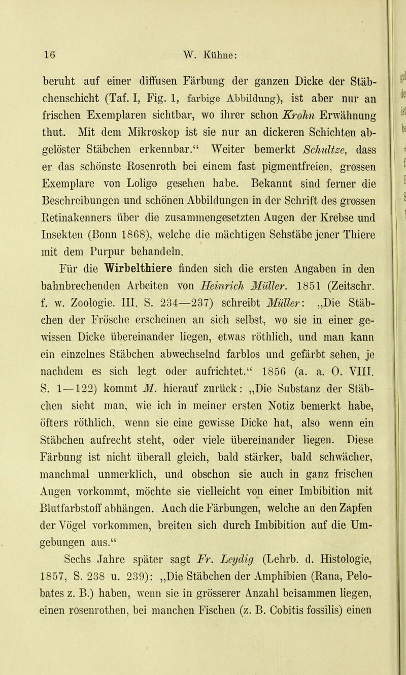 beruht auf einer diffusen Farbung der ganzen Dicke der Stab- chenschicht (Taf. I, Fig. 1, farbige Abbildung), ist aber nur an frischen Exemplaren sichtbar, wo ihrer schon KroJm Erwahnung thut. Mit dem Mikroskop ist sie nur an dickeren Schichten ab- geloster Stabchen erkennbar. Weiter bemerkt Schultze, dass er das schonste Rosenroth bei einem fast pigmentfreien, grossen Exemplare von Loligo gesehen habe. Bekannt sind ferner die Beschreibungen und schonen Abbildungen in der Schrift des grossen Retinakenners iiber die zusammengesetzten Augen der Krebse und Insekten (Bonn 1868), welche die machtigen Sehstabe jener Thiere mit dem Purpur behandeln. Fiir die Wirbelthiere finden sich die ersten Angaben in den bahnbrechenden Arbeiten von Heinrich Mutter. 1851 (Zeitschr. f. w. Zoologie. III. S. 234—237) schreibt Mutter: „Die Stab- chen der Frosche erscheinen an sich selbst, wo sie in einer ge- wissen Dicke ubereinander liegen, etwas rothlich, und man kann ein einzelnes Stabchen abwechselnd farblos und gefarbt sehen, je nachdem es sich legt oder aufrichtet. 1856 (a. a. 0. VIII. S. 1—122) kommt M. hierauf zuriick: „Die Substanz der Stab- chen sieht man, wie ich in meiner ersten Notiz bemerkt habe, ofters rothlich, wenn sie eine gewisse Dicke hat, also wenn ein Stabchen aufrecht steht, oder viele ubereinander liegen. Diese Farbung ist nicht tiberall gleich, bald starker, bald schwacher, manchmal unmerklich, und obschon sie auch in ganz frischen Augen vorkommt, mochte sie vielleicht von einer Imbibition mit Blutfarbstoff abhangen. Auch die Farbungen, welche an den Zapfen der Vogel vorkommen, breiten sich durch Imbibition auf die Um- gebungen aus.u Sechs Jahre spater sagt Fr. Ley dig (Lehrb. d. Histologic, 1857, S. 238 u. 239): „Die Stabchen der Amphibien (Rana, Pelo- bates z. B.) haben, wenn sie in grosserer Anzahl beisammen liegen, einen rosenrothen, bei manchen Fischen (z. B. Cobitis fossilis) einen