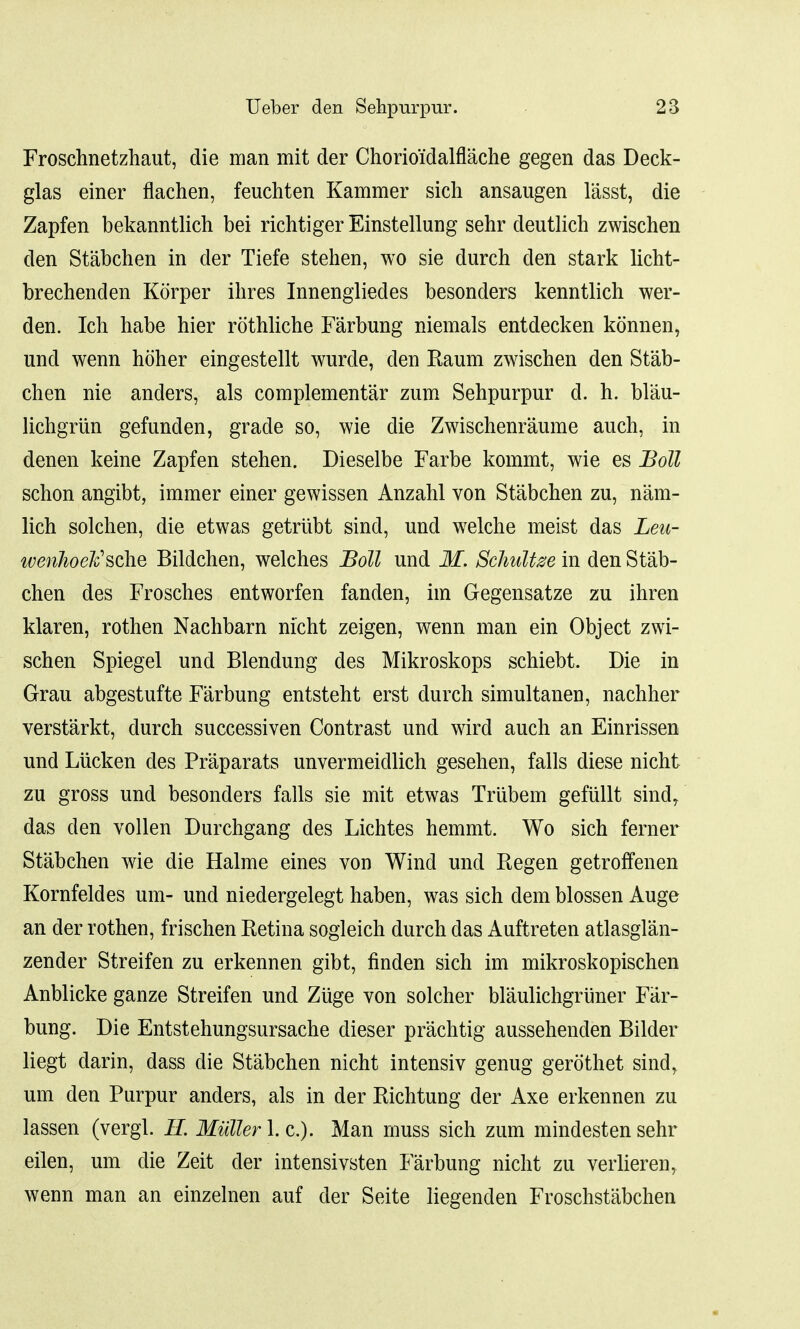 Froschnetzhaut, die man mit der Chorioidalflache gegen das Deck- glas einer flachen, feuchten Kammer sich ansaugen lasst, die Zapfen bekanntlich bei richtiger Einstellung sehr deutlich zwischen den Stabchen in der Tiefe stehen, wo sie durch den stark licht- brechenden Korper ihres Innengliedes besonders kenntlich wer- den. Ich habe hier rothliche Farbung niemals entdecken konnen, und wenn hoher eingestellt wurde, den Raum zwischen den Stab- chen nie anders, als complementer zum Sehpurpur d. h. blau- lichgriin gefunden, grade so, wie die Zwischenraume audi, in denen keine Zapfen stehen. Dieselbe Farbe kommt, wie es Boll schon angibt, immer einer gewissen Anzahl von Stabchen zu, nam- lich solchen, die etwas getriibt sind, und welche meist das Leu- wenhoeVsche Bildchen, welches Boll und M. Sclmltze in den Stab- chen des Frosches entworfen fanden, im Gegensatze zu ihren klaren, rothen Nachbarn nicht zeigen, wenn man ein Object zwi- schen Spiegel und Blendung des Mikroskops schiebt. Die in Grau abgestufte Farbung entsteht erst durch simultanen, nachher verstarkt, durch successiven Contrast und wird audi an Einrissen und Lucken des Praparats unvermeidlich gesehen, falls diese nicht zu gross und besonders falls sie mit etwas Trubem gefullt sindy das den vollen Durchgang des Lichtes hemmt. Wo sich ferner Stabchen wie die Halme eines von Wind und Regen getroffenen Kornfeldes urn- und niedergelegt haben, was sich dem blossen Auge an der rothen, frischen Retina sogleich durch das Auftreten atlasglan- zender Streifen zu erkennen gibt, finden sich im mikroskopischen Anblicke ganze Streifen und Ziige von soldier blaulichgruner Far- bung. Die Entstehungsursache dieser prachtig aussehenden Bilder liegt darin, dass die Stabchen nicht intensiv genug gerothet sind, urn den Purpur anders, als in der Richtung der Axe erkennen zu lassen (vergl. II. Mutter 1. c). Man muss sich zum mindesten sehr eilen, um die Zeit der intensivsten Farbung nicht zu verlieren, wenn man an einzelnen auf der Seite liegenden Froschstabchen