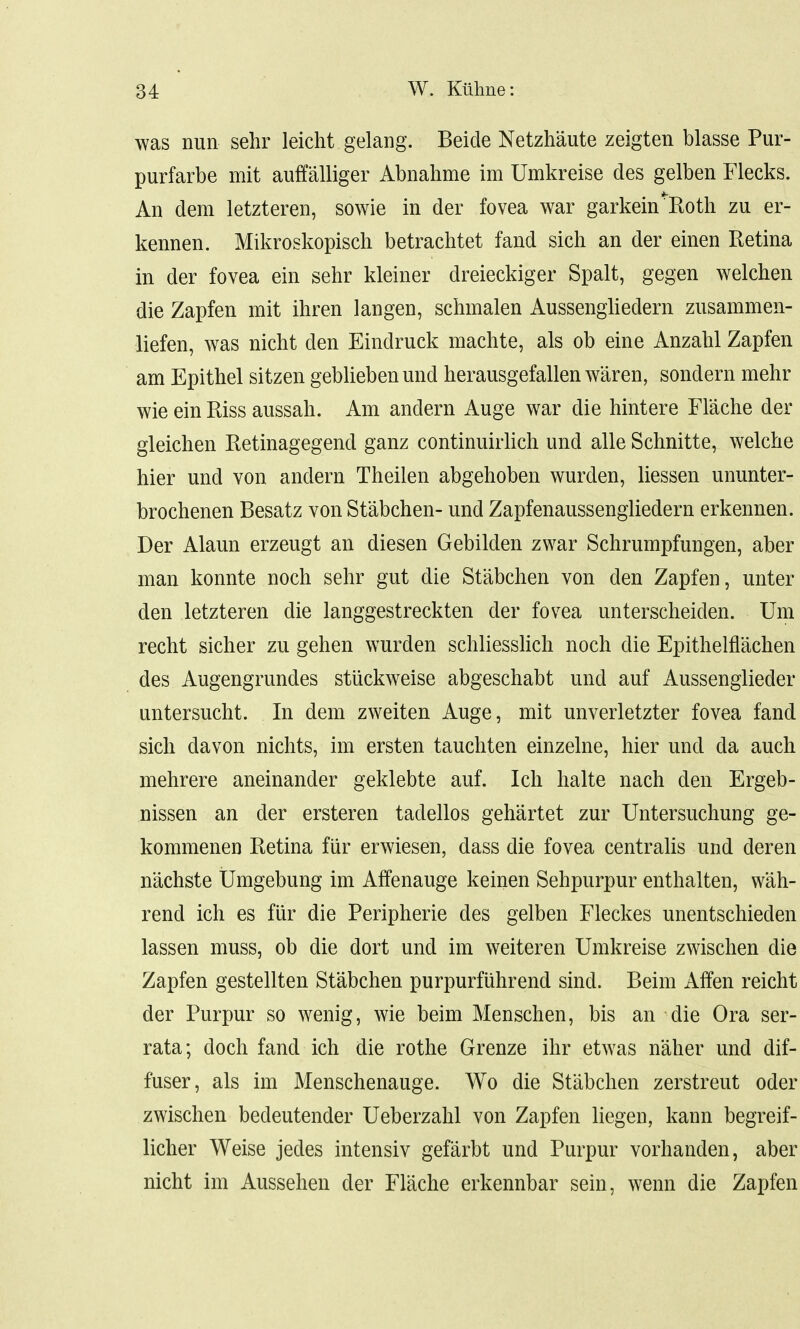 was nun sehr leicht gelang. Beide Netzhaute zeigten blasse Pur- purfarbe mit auffalliger Abnahme im Umkreise des gelben Flecks. An dem letzteren, sowie in der fovea war garkein'Roth zu er- kennen. Mikroskopisch betrachtet fand sich an der einen Retina in der fovea ein sehr kleiner dreieckiger Spalt, gegen welchen die Zapfen mit ihren langen, sclnnalen Aussengliedern zusammen- liefen, was nicht den Eindruck machte, als ob eine Anzahl Zapfen am Epithel sitzen geblieben und herausgefallen waren, sondern mehr wie ein Riss aussah. Am andern Auge war die hintere Fl'ache der gleichen Retinagegend ganz continuirlich und alle Schnitte, welche hier und von andern Theilen abgehoben wurden, liessen ununter- brochenen Besatz von Stabchen- und Zapfenaussengliedern erkennen. Der Alaun erzeugt an diesen Gebilden zwar Schrumpfungen, aber man konnte noch sehr gut die Stabchen von den Zapfen, unter den letzteren die langgestreckten der fovea unterscheiden. Um recht sicher zu gehen wurden schliesslich noch die Epithelflachen des Augengrundes stiickweise abgeschabt und auf Aussenglieder untersucht. In dem zweiten Auge, mit unverletzter fovea fand sich davon nichts, im ersten tauchten einzelne, hier und da auch mehrere aneinander geklebte auf. Ich halte nach den Ergeb- nissen an der ersteren tadellos gehartet zur Untersuchung ge- kommenen Retina fiir erwiesen, dass die fovea centralis und deren n'achste Umgebung im Affenauge keinen Sehpurpur enthalten, wah- rend ich es fiir die Peripherie des gelben Fleckes unentschieden lassen muss, ob die dort und im weiteren Umkreise zwischen die Zapfen gestellten Stabchen purpurfiihrend sind. Beim Affen reicht der Purpur so wenig, wie beim Menschen, bis an die Ora ser- rata; doch fand ich die rothe Grenze ihr etwas n'aher und dif- fuser, als im Menschenauge. Wo die Stabchen zerstreut oder zwischen bedeutender Ueberzahl von Zapfen liegen, kann begreif- licher Weise jedes intensiv gefarbt und Purpur vorhanden, aber nicht im Aussehen der Flache erkennbar sein, wenn die Zapfen