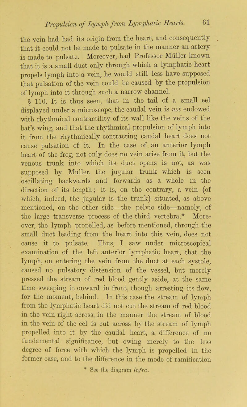 the vein had had its origin from the heart, and consequently that it could not be made to pulsate in the manner an artery is made to pulsate. Moreover, had Professor Muller known that it is a small duct only through which a lymphatic heart propels lymph into a vein, he would still less have supposed that prdsation of the vein could be caused by the propulsion of lymph into it through such a narrow channel. § 110. It is thus seen, that in the tail of a small eel displayed under a microscope, the caudal vein is not endowed with rhythmical contractility of its wall like the veins of the bat’s wing, and that the rhythmical propulsion of lymph into it from the rhythmically contracting caudal heart does not cause pulsation of it. In the case of an anterior lymph heart of the frog, not only does no vein arise from it, but the venous trunk into which its duct opens is not, as was supposed by Muller, the jugular trunk which is seen oscillating backwards and forwards as a whole in the direction of its length; it is, on the contrary, a vein (of which, indeed, the jugular is the trunk) situated, as above mentioned, on the other side—the pelvic side—namely, of the large transverse process of the third vertebra.* More- over, the lymph propelled, as before mentioned, through the small duct leading from the heart into this vein, does not cause it to pulsate. Thus, I saw under microscopical examination of the left anterior lymphatic heart, that the lymph, on entering the vein from the duct at each systole, caused no pulsatory distension of the vessel, but merely pressed the stream of red blood gently aside, at the same time sweeping it onward in front, though arresting its flow, for the moment, behind. In this case the stream of lymph from the lymphatic heart did not cut the stream of red blood in the vein right across, in the manner the stream of blood in the vein of the eel is cut across by the stream of lymph propelled into it by the caudal heart, a difference of no fundamental significance, but owing merely to the less degree of force with which the lymph is propelled in the former case, and to the difference in the mode of ramification
