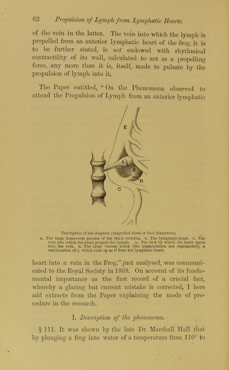 of the vein in the latter. The vein into which the lympli is propelled from an anterior lymphatic heart of the frog, it is to be further stated, is not endowed with rhythmical contractility of its wall, calculated to act as a propelling force, any more than it is, itself, made to pulsate by the propulsion of lymph into it. The Paper entitled, “On the Phenomena observed to . attend the Propulsion of Lymph from an anterior lymphatic Description of the diagram (magnified three or four diameters). A. The large transverse process of the third vertebra, n. The lymphatic heart, c. The vein into which the heart propels the lymph, u. The duct by which the heart opens into the vein. e. Tlie large venous trunk (the pigmentation not represented), a continuation of c, which runs up as if from the lymphatic heart. heart into a vein in the Prog,” just analysed, was communi- cated to the Eoyal Society in 1868. On account of its funda- mental importance as the first record of a crucial fact, whereby a glaring but current mistake is corrected, I here add extracts from the Paper explaining the mode of pro- cedure in the research. I. Description of the phenomena. § 111. It was shown by the late Dr. Marshall Hall that by plunging a frog into water of a temperature from 110° to