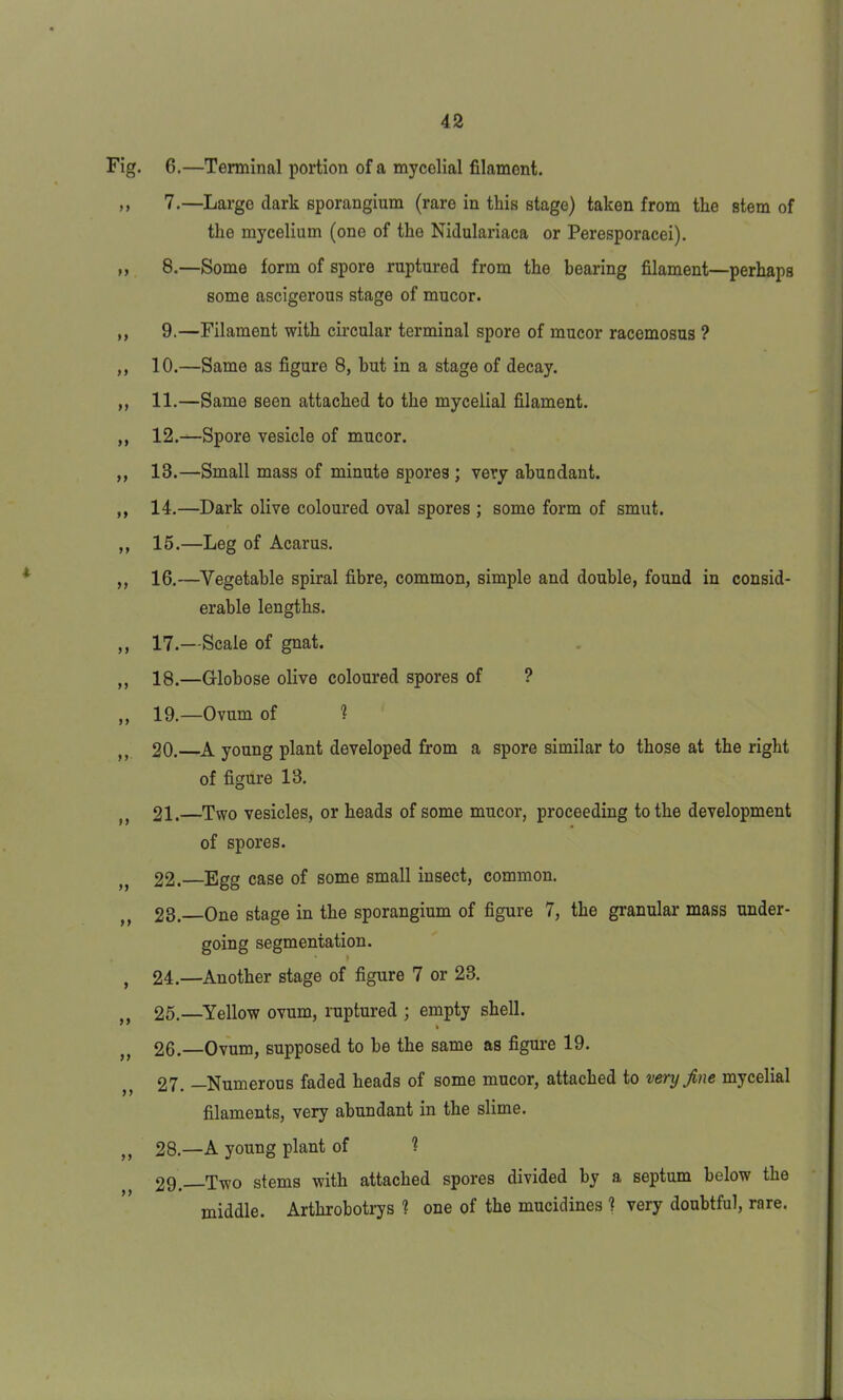 Fig. 6.—Terminal portion of a mycelial filament. ,, 7.—Large (lark sporangium (rare in this stage) taken from the stem of the mycelium (one of the Nidulariaca or Peresporacei). „ 8.—Some form of spore ruptured from the bearing filament—perhaps some ascigerous stage of mucor. ,, 9.—Filament with circular terminal spore of mucor racemosus ? ,, 10.—Same as figure 8, hut in a stage of decay. ,, 11.—Same seen attached to the mycelial filament. ,, 12.—Spore vesicle of mucor. „ 13.—Small mass of minute spores ; very abundant. ,, 14.—Dark olive coloured oval spores ; some form of smut. ,, 15.—Leg of Acarus. ,, 16.—Vegetable spiral fibre, common, simple and double, found in consid- erable lengths. ,, 17.—Scale of gnat. ,, 18.—Globose olive coloured spores of ? ,, 19.—Ovum of ? 20.—A young plant developed from a spore similar to those at the right of figure 13. n 21.—Two vesicles, or heads of some mucor, proceeding to the development of spores. 22. —Egg case of some small insect, common. 23. One stage in the sporangium of figure 7, the granular mass under- going segmentation. , 24.—Another stage of figure 7 or 23. tt 25.—Yellow ovum, ruptured ; empty shell. 26. —Ovum, supposed to be the same as figure 19. 27. —Numerous faded heads of some mucor, attached to very fine mycelial filaments, very abundant in the slime. ,, 28.—A young plant of ? 29.—Two stems with attached spores divided by a septum below the middle. Arthrobotrys ? one of the mucidines 1 very doubtful, rare.