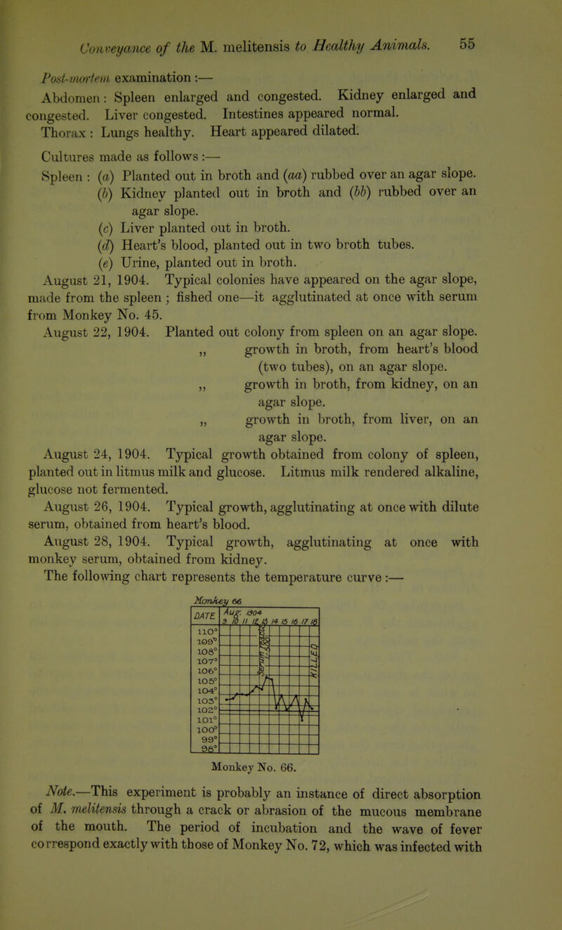 Post-iiwrteiii examination:— Abdomen: Spleen enlarged and congested. Kidney enlarged and congested. Liver congested. Intestines appeared normal. Thorax : Lungs healthy. Heart appeared dilated. Cultures made as follows :— Spleen : (a) Planted out in broth and {aa) rubbed over an agar slope. {h) Kidney planted out in broth and {hh) rubbed over an agar slope, (c) Liver planted out in broth. {d) Heart's blood, planted out in two broth tubes. (e) Urine, planted out in broth. August 21, 1904. Typical colonies have appeared on the agar slope, made from the spleen; fished one—it agglutinated at once with serum from Monkey No. 45. August 22, 1904. Planted out colony from spleen on an agar slope. „ growth in broth, from heart's blood (two tubes), on an agar slope. „ growth in broth, from kidney, on an agar slope. „ growth in broth, from liver, on an agar slope. August 24, 1904. Typical growth obtained from colony of spleen, planted out in litmus milk and glucose. Litmus milk rendered alkaline, glucose not fermented. August 26, 1904. Typical growth, agglutinating at once with dilute serum, obtained from heart's blood. August 28, 1904. Typical growth, agglutinating at once with monkey serum, obtained from kidney. The following chart represents the temperature curve:— Konkey 66 DATE 109° iOS° 107° 106° 105° 104° 103° 102° 101° lOO° 99° _2fil Au^. I30A 3 lO^IIJt a 14 15 16 1716 .^1 Monkey No. 66. Note.—This experiment is probably an instance of direct absorption of M. melitensis through a crack or abrasion of the mucous membrane of the mouth. The period of incubation and the wave of fever correspond exactly with those of Monkey No. 72, which was infected with