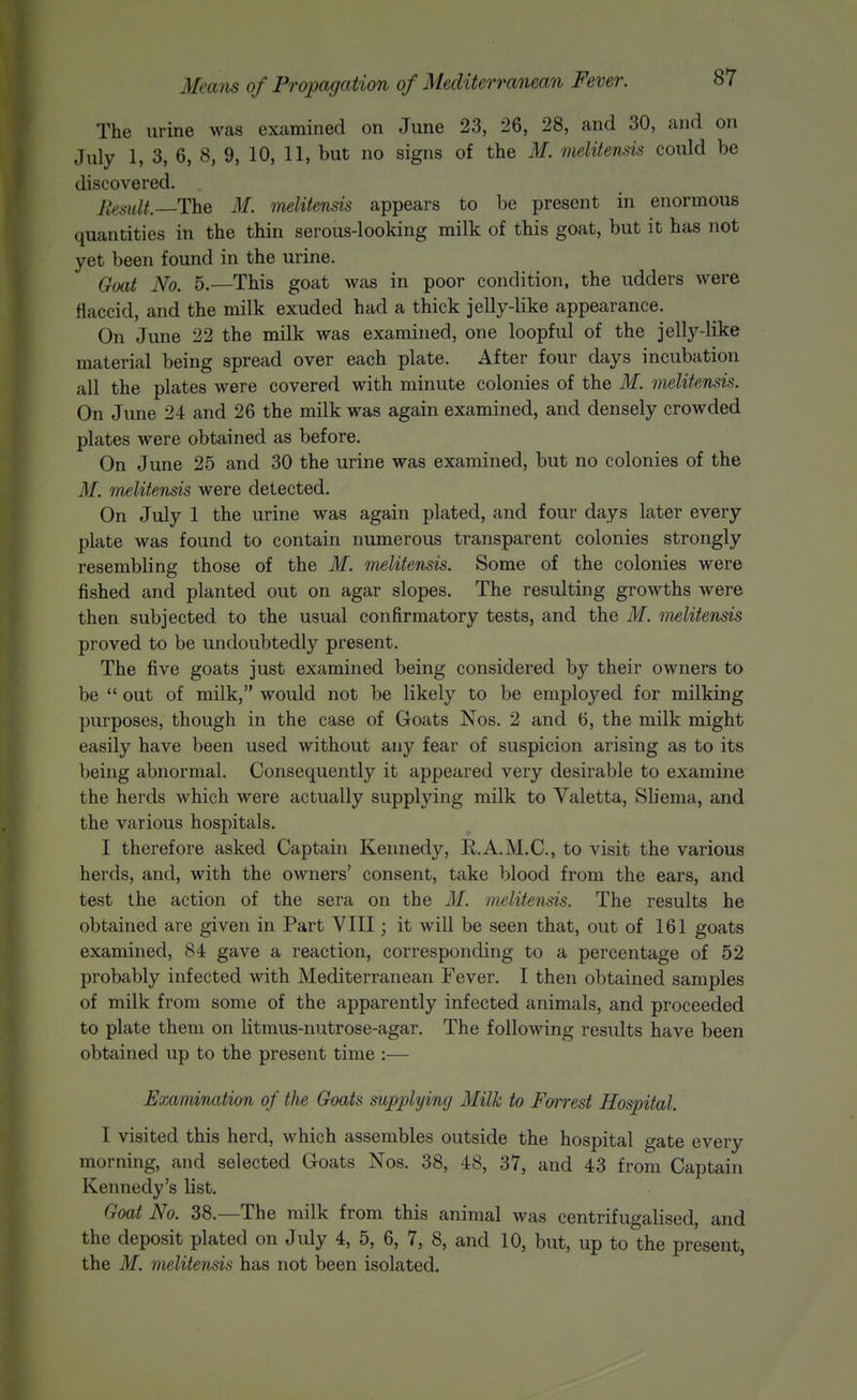 The urine was examined on June 23, 26, 28, and 30, and on July 1, 3, 6, 8, 9, 10, 11, but no signs of the M. melitensis could be discovered. JtesulL The 31. melitensis appears to be present in enormous quantities in the thin serous-looking milk of this goat, but it has not yet been found in the urine. Goat No. 5.—This goat was in poor condition, the udders were flaccid, and the milk exuded had a thick jelly-like appearance. On June 22 the milk was examined, one loopful of the jelly-like material being spread over each plate. After four days incubation all the plates were covered with minute colonies of the M. melitensis. On June 24 and 26 the milk was again examined, and densely crowded plates were obtained as before. On June 25 and 30 the urine was examined, but no colonies of the M. melitensis were detected. On July 1 the urine was again plated, and four days later every plate was found to contain numerous transparent colonies strongly resembling those of the M. melitensis. Some of the colonies were fished and planted out on agar slopes. The resulting growths were then subjected to the usual confirmatory tests, and the M. melitensis proved to be undoubtedly present. The five goats just examined being considered by their owners to be  out of milk, would not be likely to be employed for milking purposes, though in the case of Goats Nos. 2 and 6, the milk might easily have been used without any fear of suspicion arising as to its being abnormal. Consequently it appeared very desirable to examine the herds which were actually supplying milk to Valetta, Sliema, and the various hospitals. I therefore asked Captain Kennedy, E.A.M.C., to visit the various herds, and, with the owners' consent, take blood from the ears, and test the action of the sera on the M. melitensis. The results he obtained are given in Part VIII; it will be seen that, out of 161 goats examined, 84 gave a reaction, corresponding to a percentage of 52 probably infected with Mediterranean Fever. I then obtained samples of milk from some of the apparently infected animals, and proceeded to plate them on litmus-nutrose-agar. The following results have been obtained up to the present time :— Examination of the Goats supplying Milk to Forrest Hospital. I visited this herd, which assembles outside the hospital gate every morning, and selected Goats Nos. 38, 48, 37, and 43 from Captain Kennedy's list. Goat No. 38.—The milk from this animal was centrifugalised, and the deposit plated on July 4, 5, 6, 7, 8, and 10, but, up to the present, the M. melitensis has not been isolated.