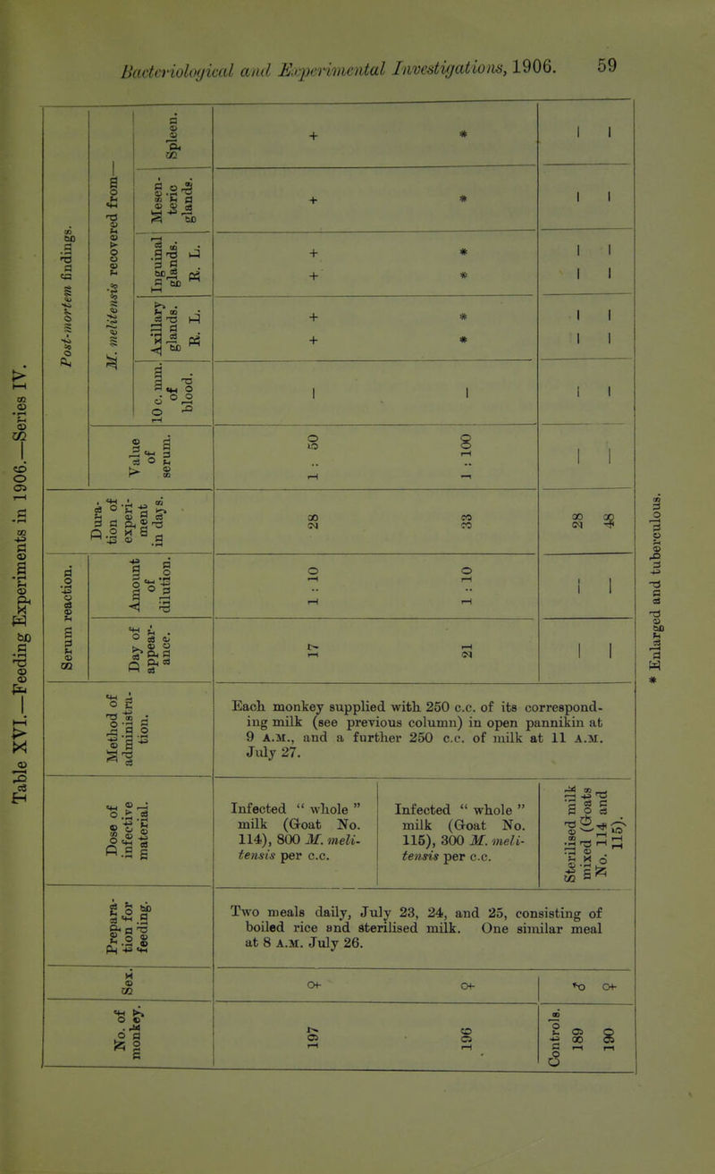 Post-mortem findings. M. meliteiuns recovered from— Spleen. -I- * 1 1 1 1 Mesen- teric glands. + * 1 1 Inguinal glands. R. L. + * + * I 1 1 1 Axillary glands. R. L. + * + * 1 1 1 1 10 c. mm. of blood. 1 1 r 1 1 1 Value of serum. 1 : 50 1 : 100 1 1 1 1 Dura- tion of experi- ment in dajs. M CO 00 00 Serum reaction. Amount of dilution. o o 1—1 1 1 Day of ance. l> ^ 1 1 Method of administra- tion. Each, monkey supplied with 250 c.c. of its correspond, ing milk (see previous column) in open pannikin at 9 A.M., and a further 250 c.c. of luilk at 11 a.m. July 27. Dose of infective material. Infected  whole  milk (Goat No. 114), 800 M. meli- tensis per c.c. Infected  whole  milk (Groat No. 115), 300 M. meli- tensis per c.c. Sterilised milk mixed (G-oats No. 114 and 115). Prepara- tion for feeding. Two meals daily, July 23, 24, and 25, consisting of boiled rice and sterilised milk. One similar meal at 8 A.M. July 26. Sex. CH- CH- No. of monkey. !>• CO --1 rH Controls. 189 190 3 o I—I pi 3 a d M