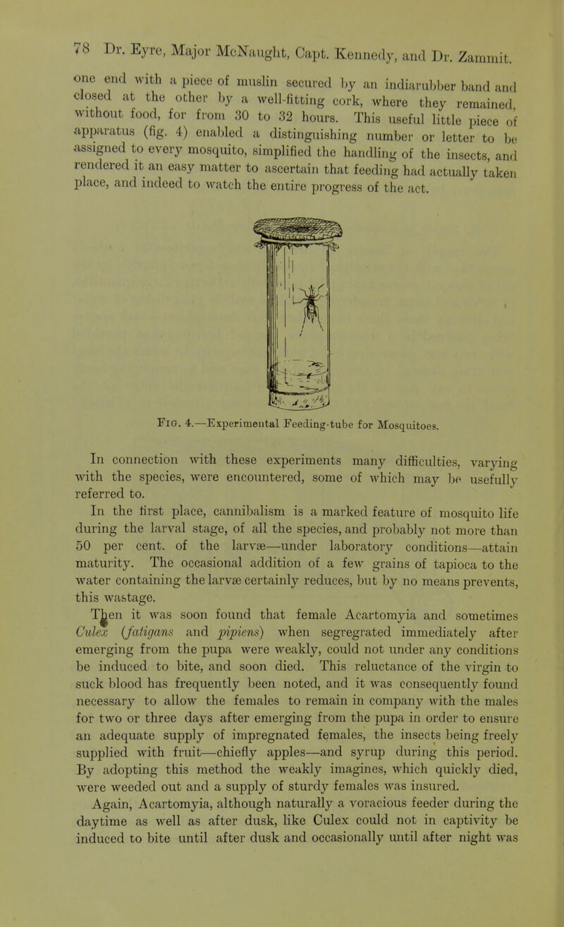 one end with a piece of muslin secured l,y an indiarubber band and closed at the other by a well-fitting cork, where they remained without food, for from 30 to 32 hours. This useful little piece of apparatus (fig. 4) enabled a distinguishing number or letter to be <assigned to every mosquito, simplified the handling of the insects, and rendered it an easy matter to ascertain that feeding had actually tkken place, and indeed to watch the entire progress of the act. Fig. 4.—Experimental Feeding-tube for Mosquitoes. In connection with these experiments many difficulties, varying with the species, were encountered, some of which may be usefullj' referred to. In the first place, cannibalism is a marked feature of mosquito life during the larval stage, of all the species, and probably not more than 50 per cent, of the larvas—under laboratory conditions—attain maturity. The occasional addition of a few grains of tapioca to the water containing the larvae certainly reduces, but by no means prevents, this wastage. Tj^en it was soon found that female Acartomyia and sometimes Culez (Jatigans and ^M^iews) when segregrated immediately after emerging from the pupa were weakly, could not under any conditions be induced to bite, and soon died. This reluctance of the virgin to suck blood has frequently been noted, and it was consequently found necessary to allow the females to remain in company with the males for two or three days after emerging from the pupa in order to ensure an adequate supply of impregnated females, the insects being freely supplied with fruit—chiefly apples—and syrup during this period. By adopting this method the weakly imagines, which quickly died, were weeded out and a supply of sturdy females was insured. Again, Acartomyia, although naturally a voracious feeder during the daytime as well as after dusk, like Culex could not in captivity be induced to bite until after dusk and occasionally until after night was