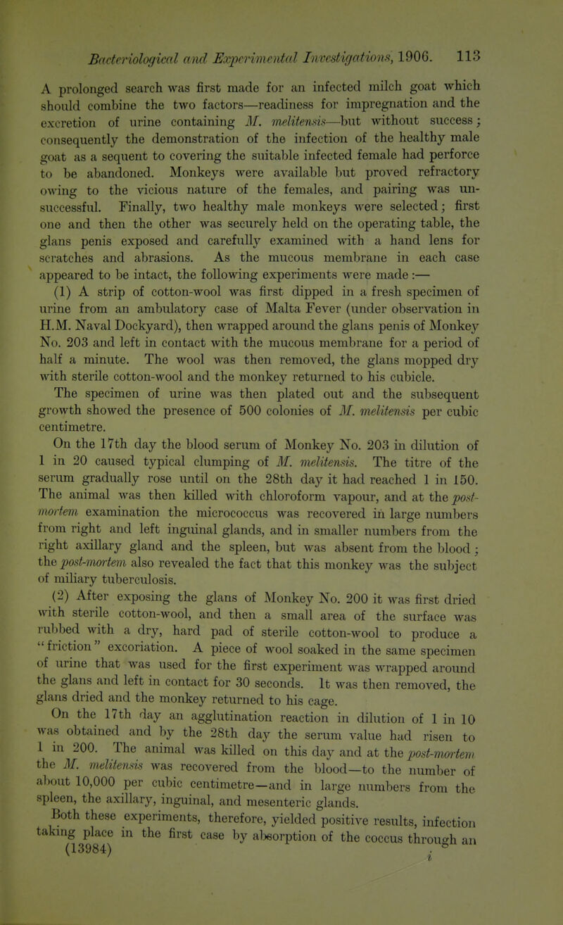 A prolonged search was first made for an infected milch goat which shonld combine the two factors—readiness for impregnation and the excretion of urine containing M. melitenm—^but without success; consequently the demonstration of the infection of the healthy male goat as a sequent to covering the suitable infected female had perforce to be abandoned. Monkeys were available but proved refractory owing to the vicious nature of the females, and pairing was un- successful. Finally, two healthy male monkeys were selected; first one and then the other was securely held on the operating table, the glans penis exposed and carefully examined with a hand lens for scratches and abrasions. As the mucous membrane in each case appeared to be intact, the following experiments were made:— (1) A strip of cotton-wool was first dipped in a fresh specimen of urine from an ambulatory case of Malta Fever (under observation in H.M. Naval Dockyard), then wrapped around the glans penis of Monkey No. 203 and left in contact with the mucous membrane for a period of half a minute. The wool was then removed, the glans mopped dry with sterile cotton-wool and the monkey returned to his cubicle. The specimen of urine was then plated out and the subsequent growth showed the presence of 500 colonies of M. melitensis per cubic centimetre. On the 17th day the blood serum of Monkey No. 203 in dilution of 1 in 20 caused typical clumping of M. melitensis. The titre of the serum gradually rose until on the 28th day it had reached I in 150. The animal was then killed with chloroform vapour, and at the post- mortem examination the micrococcus was recovered in large numbers from right and left inguinal glands, and in smaller numbers from the right axillary gland and the spleen, but was absent from the blood; the post-mortem also revealed the fact that this monkey was the subject of miliary tuberculosis. (2) After exposing the glans of Monkey No. 200 it was first dried with sterile cotton-wool, and then a small area of the surface was rubbed with a dry, hard pad of sterile cotton-wool to produce a  friction  excoriation. A piece of wool soaked in the same specimen of urine that was used for the first experiment was wrapped aroimd the glans and left in contact for 30 seconds. It was then removed, the glans dried and the monkey returned to his cage. On the 17 th day an agglutination reaction in dilution of 1 in 10 was obtained and by the 28th day the serum value hud risen to 1 in 200. The animal was killed on this day and at the post-nmiem the M. melitensis was recovered from the blood—to the number of about 10,000 per cubic centimetre—and in large numbers from the spleen, the axillary, inguinal, and mesenteric glands. Both these experiments, therefore, yielded positive results, infection takmg place in the first case by absorption of the coccus through an (13984) & '
