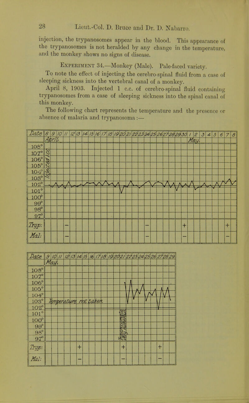 injection, the trypanosomes appear in the blood. This appearance of the trypanosomes is not heralded by any change in the temperature, and the monkey shows no signs of disease. Experiment 34.—Monkey (Male). Pale-faced variety. To note the effect of injecting the cerebro spinal fluid from a case of sleeping sickness into the vertebral canal of a monkey. April 8, 1903. Injected 1 c.c. of cerebro spinal fluid containing trypanosomes from a case of sleeping sickness into the spinal canal of this monkey. The following chart represents the temperature and the presence or absence of malaria and trypanosoma :— Bate 6 9 10 II 12 13 15 16 17 Id 19 20 21 22 23 24- 25 26 Z7 28 29 30 / 2 3 4- 5 6 7 a irr >. Ml \ 108° 107° 106° 105° 104'' 1 i 103° 102° J —-s T I / 101° / A f lOOP 99° 98° 97° Trgp: + + Mdl: 9 10 // 12 13 14 15 16 17 Id 19 20 21 22 23 24- 25 26 27 2S 29 H 108° 107° 106° 105° —] 104° \f / 103° I ilk n OC f 102° 101° ■ 1 100° i 99° p 98° 97° \ 1 Tryp: + + +