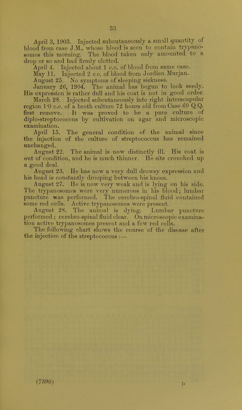 April 3, 1903. Injected subcutaneously a small quantity of blood from case J.M., whose blood is seen to contain trypano- somes this morning. The blood taken only amounted to a drop or so and had firmly clotted. April A. Injected ahout 1 c.c. of blood from same case. May 11. Injected 2 c.c. of blood from Jordien Murjan. August 25. No symptoms of sleeping sickness. January 2(5, 1904. The animal has begun to look seedy. His expression is rather dull and his coat is not in good order. March 28. Injected subcutaneously into right interscapular region 1*0 c.c. of a broth culture 72 hours old from Case 69 Q.Q. first remove. It was proved to be a pure culture of diplo-streptococcus by cultivation on agar and microscopic examination. April 15. The general condition of the animal since the injection of the culture of streptococcus has remained unchanged. August 22. The animal is now distinctly ill. His coat is out of condition, and he is much thinner. He sits crouched up a good deal. August 23. He has now a very dull drowsy expression and his head is constantly drooping between his knees. August 27. He is now very weak and is lying on his side. The trypanosomes were very numerous in his blood; lumbar puncture was performed. The cerebro-spinal fluid contained some red ceils. Active trypanosomes were present. August 28. The animal is dying. Lumbar puncture performed ; cerebro-spinal fluid clear. On microscopic examina- tion active trypanosomes present and a few red cells. The following chart shows the course of the disease after the injection of the streptococcus :— (7390)