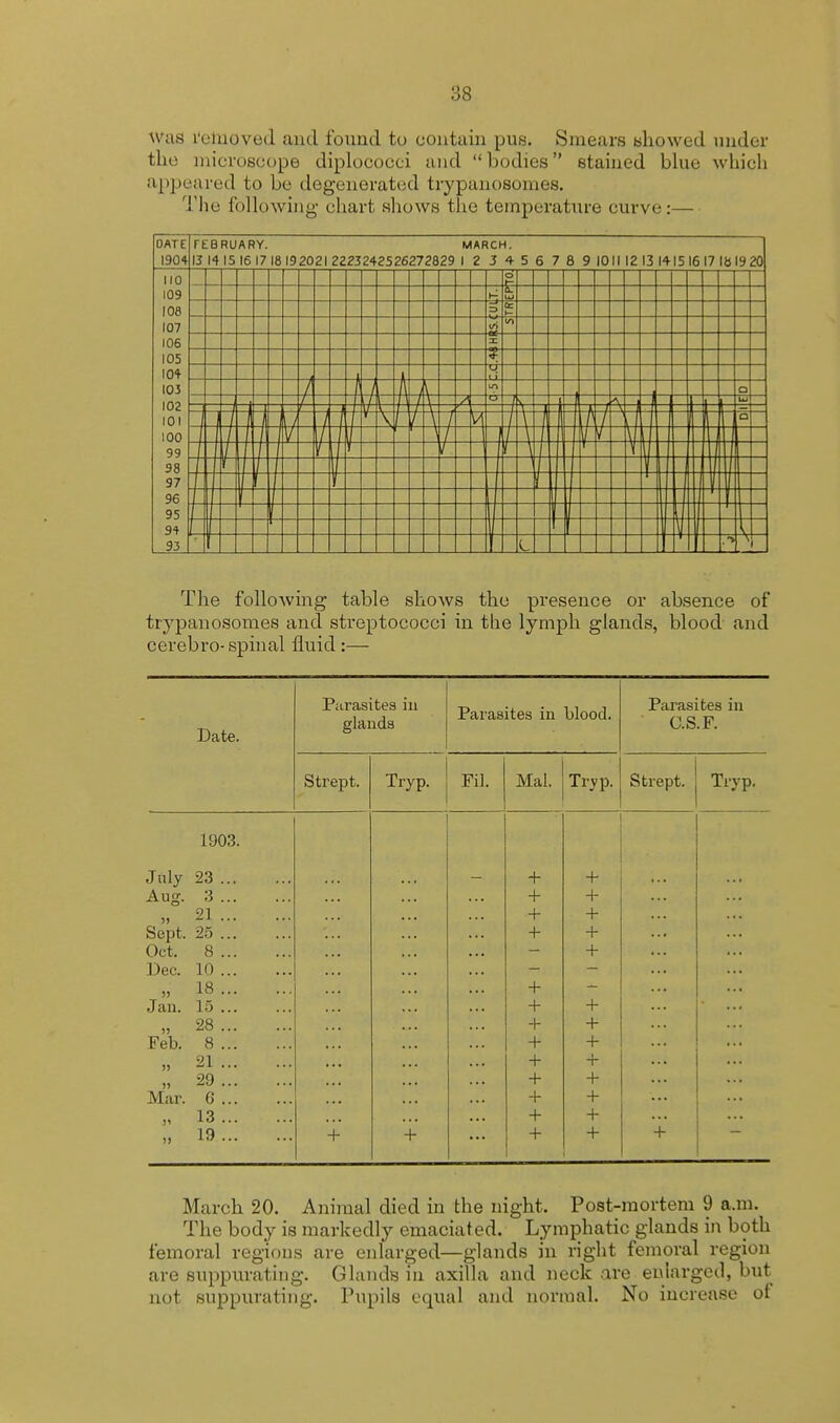 was removed and found to contain pus. Smears showed under the microscope diplococci and bodies stained blue which appeared to be degenerated trypanosomes. The following- chart shows the temperature curve:— The following table shows the presence or absence of trypanosomes and streptococci in tlie lymph glands, blood and cerebro- spinal fluid :— Date. Parasites in glands Parasites in blood. Parasites in C.S.F. Strept. Tryp. El. Mai. Tryp. Strept. Tryp. 1903. July 23 + + Aug. 3 + + 21 + + Sept. 25 + + Oct. 8 + Dec. 10 » 18 : + , Jan. 15 + + » 28 + + Feb. 8 + + » 21 + + „ 29 + + Mar. G + + „ 13 + + „ . 19:... ... + + + + + March 20. Animal died in the night. Post-mortem 9 a.m. The body is markedly emaciated. Lymphatic glands in both femoral regions are enlarged—glands in right femoral region are suppurating. Glands in axilla and neck are enlarged, but not suppurating. Pupils equal and normal. No increase of