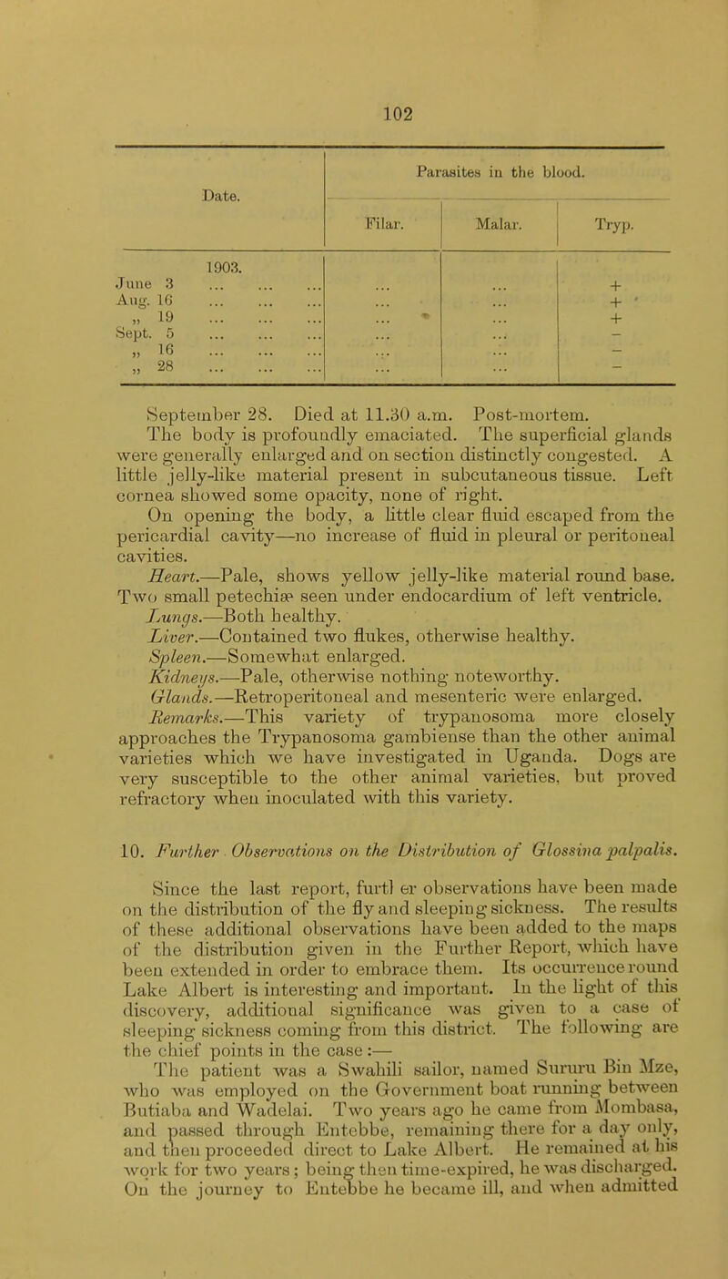 Date. Parasites in the blood. Filar. Malar. Tryp. 1903. June 3 + Aug. 16 + ' >> 19 + Sept. 5 >> 16 j> 28 September 28. Died at 11.30 a.m. Post-mortem. The body is profoundly emaciated. The superficial glands were generally enlarged and on section distinctly congests L. A little jelly-like material present in subcutaneous tissue. Left cornea showed some opacity, none of right. On opening the body, a little clear fluid escaped from the pericardial cavity—no increase of fluid in pleural or peritoneal cavities. Heart.—Pale, shows yellow jelly-like material round base. Two small petechia1 seen under endocardium of left ventricle. Lungs.—Both healthy. Liver.—Contained two flukes, otherwise healthy. Spleen.—Somewhat enlarged. Kidneys.—Pale, otherwise nothing noteworthy. Glands.—Retroperitoneal and mesenteric were enlarged. Remarks.—This variety of trypanosoma more closely approaches the Trypanosoma gambiense than the other animal varieties which we have investigated in Uganda. Dogs are very susceptible to the other animal varieties, but proved refractory when inoculated with this variety. 10. Further Observations on the Distribution of Glossina palpalis. Since the last report, furtl er observations have been made on the distribution of the fly and sleeping-sickness. The results of these additional observations have been added to the maps of the distribution given in the Further Report, which have been extended in order to embrace them. Its occurrence round Lake Albert is interesting and important. In the light of this discovery, additional significance was given to a case ot sleeping*sickness coming from this district. The following are the chief points in the case :— The patient was a Swahili sailor, named Sururu Bin Mze, who was employed on the Government boat running between Butiaba and Wadelai. Two years ago he came from Mombasa, and passed through Entebbe, remaining there for a day only, and then proceeded direct to Lake Albert. He remained at his work for two years; being then time-expired, he was discharged. On the journey to Entebbe he became ill, and when admitted