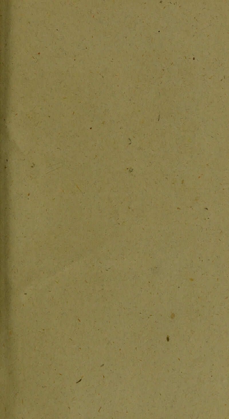 ' - < V . / 1 . • • ) » ' '