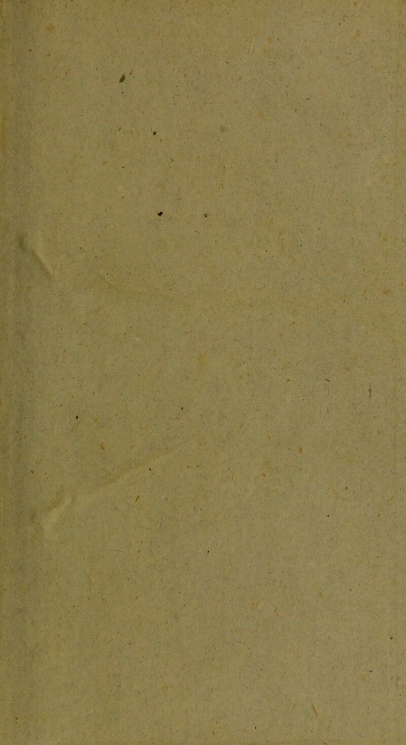 f * t X ■'4- ' Ir \