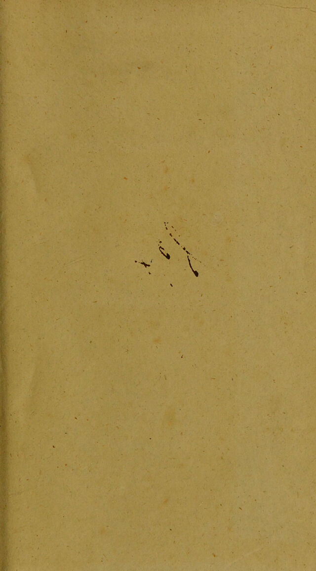 digitised image 3