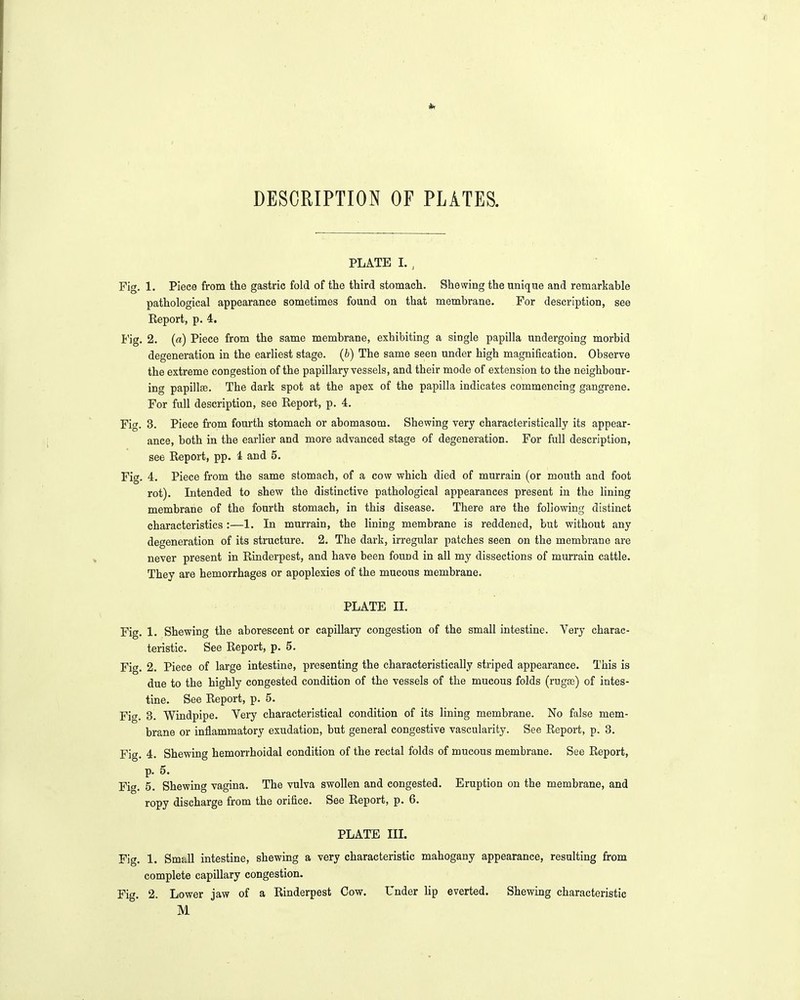 DESCRIPTION OF PLATES. PLATE I. , Fig. 1. Piece from the gastric fold of the third stomach. Shewing the unique and remarkable pathological appearance sometimes found on that membrane. For description, see Eeport, p. 4. I'ig. 2. (a) Piece from the same membrane, exhibiting a single papilla undergoing morbid degeneration in the earliest stage, {b) The same seen under high magnification. Observe the extreme congestion of the papillary vessels, and their mode of extension to the neighbour- ing papillae. The dark spot at the apex of the papilla indicates commencing gangrene. For full description, see Report, p. 4. Fig. 3. Piece from fourth stomach or abomasom. Shewing very characteristically its appear- ance, both in the earlier and more advanced stage of degeneration. For full description, see Report, pp. 4 and 5. Fig. 4. Piece from the same stomach, of a cow which died of murrain (or mouth and foot rot). Intended to shew the distinctive pathological appearances present in the Hning membrane of the fourth stomach, in this disease. There are the following distinct characteristics :—1. In murrain, the lining membrane is reddened, but without any degeneration of its structure. 2. The dark, irregular patches seen on the membrane are never present in Rinderpest, and have been found in all my dissections of murrain cattle. They are hemorrhages or apoplexies of the mucous membrane. PLATE II. Fig. 1. Shewing the aborescent or capillary congestion of the small intestine. Very charac- teristic. See Report, p. 5. Fig. 2. Piece of large intestine, presenting the characteristically striped appearance. This is due to the highly congested condition of the vessels of the mucous folds (rugae) of intes- tine. See Report, p. 5. Fig. 3. Windpipe. Very characteristical condition of its lining membrane. No false mem- brane or inflammatory exudation, but general congestive vascularity. See Report, p. 3. Fig. 4. Shewing hemorrhoidal condition of the rectal folds of mucous membrane. See Report, p. 5. Fig. 5. Shewing vagina. The vulva swollen and congested. Eruption on the membrane, and ropy discharge from the orifice. See Report, p. 6. PLATE IIL Fig. 1. Small intestine, shewing a very characteristic mahogany appearance, resulting from complete capillary congestion. Fig. 2. Lower jaw of a Rinderpest Cow. Under lip everted. Shewing characteristic M