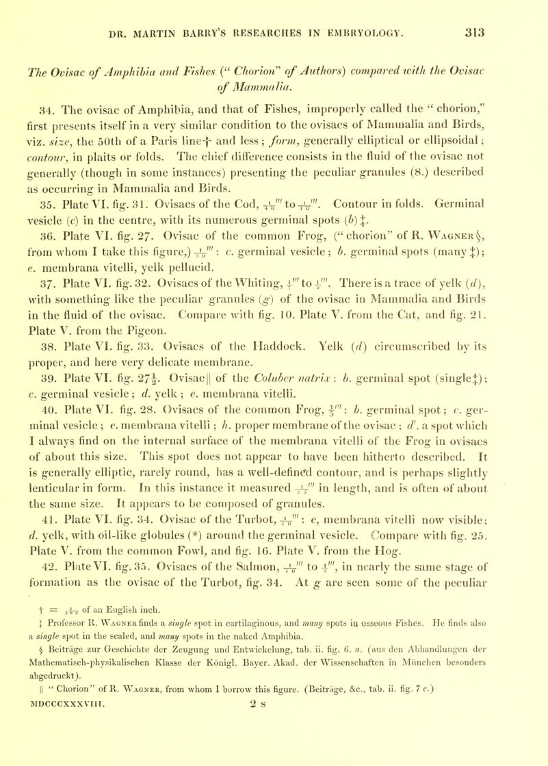 The Ovisac of Amphibia and Fishes ( Chorion of Authors) compared with the Ovisac of Mammalia. 34. The ovisac of Amphibia, and that of Fishes, improperly called the  chorion, first presents itself in a very siniihir condition to the ovisacs of Mammalia and Birds, viz. size, the 50th of a Paris line-f and less; form, generally elliptical or ellipsoidal; contour, in plaits or folds. The chief difference consists in the fluid of the ovisac not g-enerally (though in some instances) presenting the peculiar granules (8.) described as occurring in Mammalia and Birds. 35. Plate VI. fig. 31. Ovisacs of the Cod, V-o' to^'. Contour in folds. Germinal vesicle (c) in the centre, with its numerous germinal spots {b) |. 36. Plate VI. fig. 27. Ovisac of the common Frog, ( chorion of R. Wagner from whom I take this figure,) : c. germinal vesicle ; h. germinal spots (many;{:); e. membrana vitelli, yelk pellucid. 37. Plate VI. fig. 32. Ovisacs of the Whiting, -f to i'. There is a trace of yelk (d), with something like the peculiar granules {g) of the ovisac in Mammalia and Birds in the fluid of the ovisac. Compare with fig. 10, Plate V. from the Cat, and fig. 21. Plate V. from the Pigeon. 38. Plate VI. fig. 33. Ovisacs of the Haddock. Yelk (d) circumscribed by its proper, and here very delicate membrane. 39. Plate VI. fig. 27^. Ovisac || of the Coluber natrix: b. germinal spot (single:|:); c. germinal vesicle ; d. yelk ; e. membrana vitelli. 40. Plate VI. fig. 28. Ovisacs of the common Frog, y: b. germinal spot; c. ger- minal vesicle ; e. membrana vitelli: //. proper membrane of the ovisac ; d'. a spot which I always find on the internal surface of the membrana vitelli of the Frog in ovisacs of about this size. This spot does not appear to have been hitherto described. It is generally elliptic, rarely round, has a well-defined contour, and is perhaps slightly lenticular in form. In this instance it measured -jJ in length, and is often of about the same size. It appears to be composed of granules. 41. Plate VI. fig. 34. Ovisac of the Turbot, tL-' : e, membrana vitelli now visible; d. yelk, with oil-like globules (*) around the germinal vesicle. Compare with fig. 25. Plate V, from the common Fowl, and fig. 16. Plate V. from the Hog. 42. Plate VI. fig. 35. Ovisacs of the Salmon, Vo-' to -l', in nearly the same stage of formation as the ovisac of the Turbot, fig. 34. At g are seen some of the peculiar \ = of an English inch. X Professor R. Wagner finds a single spot in cartilaginous, and many spots in osseous Fishes. He finds also a single spot in the scaled, and many spots in the naked Amphibia. § Beitriige zur Geschichte der Zeugung und Entwickelung, tab. ii. fig. 6. a. (aus den Abhandlungen der Mathematisch-physikalischen Klasse der Konigl. Bayer. Akad. der Wissenschaften in Miinchen besonders abgedruckt). II  Chorion of R. Wagner, from whom I borrow this figure. (Beitriige, &c., tab. ii. fig. 7 c.) MDCCCXXXVIII. 2 S