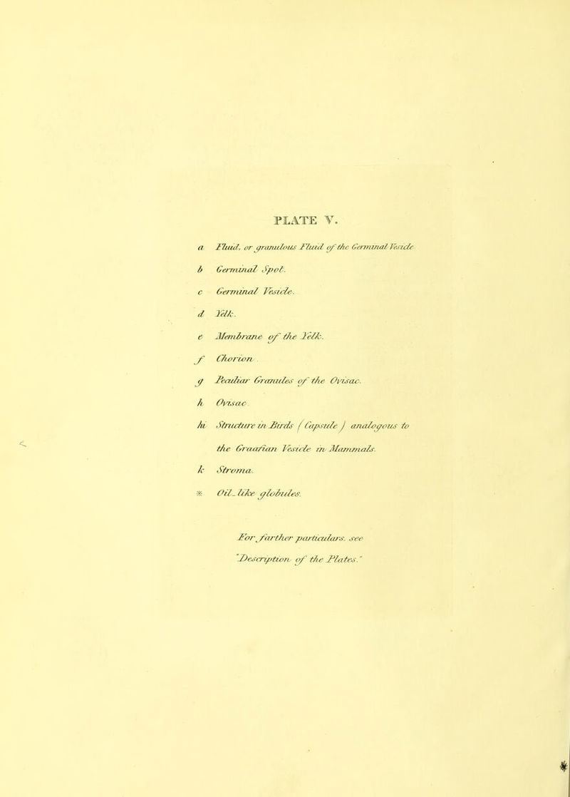 PLATE a Fhud, or ^ranulous Hiud of the GemiinaZ Vesicle b Ge/'minal Spot, c Ger-niinal VesicZe^. d TelJc. & Membrane of the lelk. CTwrioTh jf J'eaiHar 0?-a7uiles of the Ovisou>. h Ovisac. hi Structure in -Birds ^Capsute J analogous to the GroMfian yesiele rrt MarrLmals. k Stroma. vK- Oil- UTce ^toiiiles: iForfxirttier ptu-ticulars, see iDescriptio7i of tfie flates.