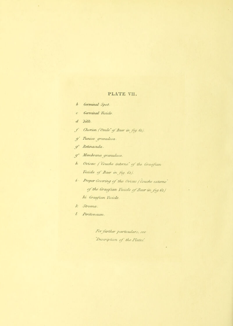 PLATE TMo b Germinal Spot, c GerrmnaZ Vesicle , d y?lk. J-' Chorion. f 'Ovide of Jiaer in fi^. fz). ^' Tunica c/ranulosa. Retinaada-. Me/niraruigranulosa, h Ovisac /'Couc/ie mleme of the draaf an Vesicle of iBaer in /z^. 6'2). i- Proper Covering of t/i€^ Omsac f 'toiuihe e<xterne offfe Graa/ian Vesicle of.£aerin fi^. &z.J ht Graaf an V&side. k Stroma, t -Periton.eum. IbrJoTther partiadars, see 'Description of tiiePlates'!