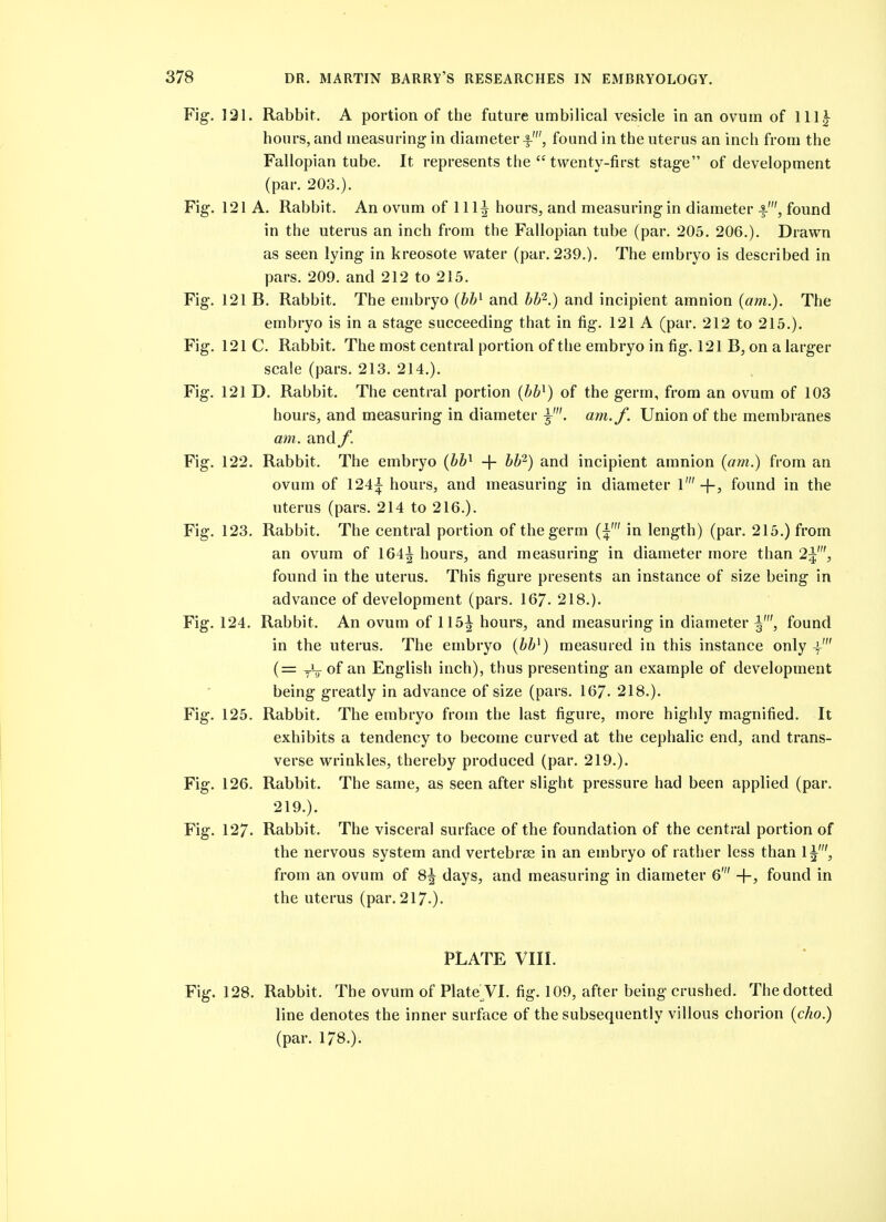 Fig. 131. Rabbit. A portion of the future umbilical vesicle in an ovum of hours, and measuring in diameter f', found in the uterus an inch from the Fallopian tube. It represents the  twenty-first stage of development (par. 203.). Fig. 121 A. Rabbit. An ovum of 111^ hours, and measuring in diameter found in the uterus an inch from the Fallopian tube (par. 205. 206.). Drawn as seen lying in kreosote water (par. 239.). The embryo is described in pars. 209. and 212 to 215. Fig. 121 B. Rabbit. The embryo (b¥ and bb'^.) and incipient amnion (am.). The embryo is in a stage succeeding that in fig. 121 A (par. 212 to 215.). Fig. 121 C. Rabbit. The most central portion of the embryo in fig. 121 B, on a larger scale (pars. 213. 214.). Fig. 121 D. Rabbit. The central portion (bb^) of the germ, from an ovum of 103 hours, and measuring in diameter am./. Union of the membranes am. and f. Fig. 122. Rabbit. The embryo (bb'^ + bb^) and incipient amnion (am.) from an ovum of 124;!^ hours, and measuring in diameter 1' +, found in the uterus (pars. 214 to 216.). Fig. 123. Rabbit. The central portion of the germ (^' in length) (par. 215.) from an ovum of 164^ hours, and measuring in diameter more than 2^', found in the uterus. This figure presents an instance of size being in advance of development (pars. 167. 218.). Fig. 124. Rabbit. An ovum of 115^ hours, and measuring in diameter found in the uterus. The embryo (bb^) measured in this instance only V (= of an English inch), thus presenting an example of development being greatly in advance of size (pars. 167- 218.). Fig. 125. Rabbit. The embryo from the last figure, more highly magnified. It exhibits a tendency to become curved at the cephalic end, and trans- verse wrinkles, thereby produced (par. 219.). Fig. 126. Rabbit. The same, as seen after slight pressure had been applied (par. 219.). Fig. 127. Rabbit. The visceral surface of the foundation of the central portion of the nervous system and vertebrae in an embryo of rather less than 1^', from an ovum of 8^ days, and measuring in diameter 6' +) found in the uterus (par. 217.). PLATE VIII. Fig. 128. Rabbit. The ovum of Plate VI. fig. 109, after being crushed. The dotted line denotes the inner surface of the subsequently villous chorion (cho.) (par. 178.).