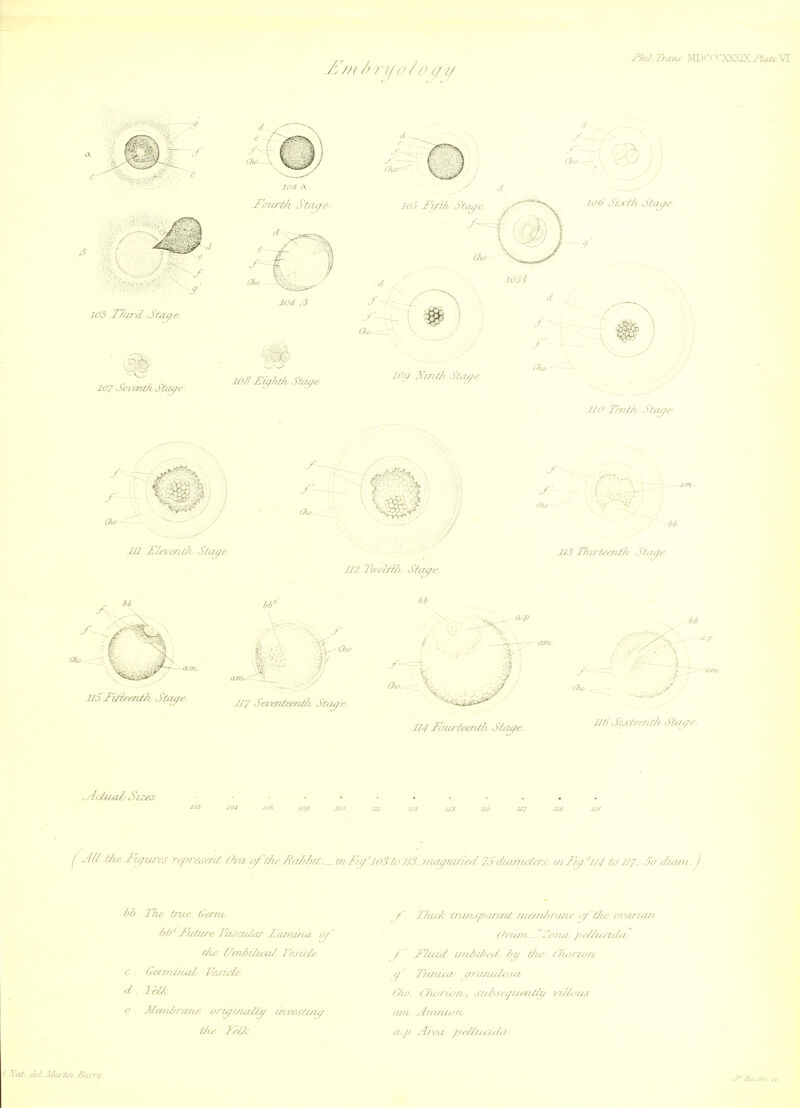 t //I in ' 1/ ( > /cu/1/. I'lvl Tnws MlJ<CCXX>3X./-f</&VI J e 103 T/wd Stof^t 107 SefeniJi d'taye. 204 a -FoiLvth Stii(/&. Cho. 104 , 3 JOS' £i^ArA . •Tfofe. J0.5 Ti/i/i Stated --'^ y \ \ 100 Sj.rth Sfaj/^ d - , - UO I'l-nth Sta(/o- y in ULe]''entJi Staye. Ou, f 112 TiveMi Staye. ib Clw .f Ow.- y r/w. 113 T/iu-teenth Sta^e. ■ a p. ^^^^ 124 loufteefLi/i Staye. y- Ow., l/d Sixteenth Statue. ^ciztaZ Sixes JO3 JO4 J06 JUil 7Jil Ul JJ3 U5 .117 114 I JJl tJie Fn/ures repTese/il OvaoftJie_Rt7/yM/:^7MFN/'lo3to//3-riui</ru/ied 'tia77U'fr/y: i/i Ffi/^JJ^ toJ/J^So ///oj/f. j />/j The tnie Germ l>l7'Fj/ture Ja^i-adar Za7?ii/ia oj C . Ger/nuuil' J'&i-fAJ/i d. JddA- e Manl>ry//Le oriyi/iiMy 1/ive.stuu/ / '. J7u/dc t7-ujhspiuryit 7/u;^n/'r-ij/iL' o/'t/ie o]'f7r7(i7i (Ji'u//t 'Fo7U! /'/'////ridt/. f Fluid /j/id/d'f// /jy 7/u' (7ix/7-io7L I.J '. Fi/jura q7'a///jl/'sa (7oK 7_7ii'/y/y7t, siz/'sciy/e/U/// ril/ai/s <i7u. .^iriuna7L (i.p A/va pelluaydiiy Xat. ri/.Jliuit/i JjiuTu.
