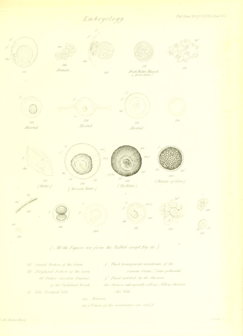 I'InlTn7m. MDCCCXXZlX./y.//.- VJIL. C/u, \\ I I 128 am. li- -•• 12£/ ' , %'-J V.v''-^/ ..■r-.a.'v/ C7h_ Jresh Water Mussel Z?5 f 134. Aborted tr /5.5 Aborted. 136. Cho 137. Cho 142 Ou>. 241 13H ^ Jfircsote H'ff/rrJ ( Jhrinr^e/-) 14(1 (Mtt-a/v of, )dverJ d- -743 f, 145. I /// //u /■'/<///iw f//r //'/'/// //n- fu//d>/t lurt/d Jh/ W ) .74^ /d/ (r/i//;// /-^frf/r/i ft,-///, ■ / dti/rt' //;///.v/,,//; /// //,,///t/',///e r/dt/c ttt t'r/,/dir/;/t dt/t/,'/i ,'/dt/, itr/yii i'i,i/,,//i I'r////i 't ..,•//,//>i tt//,yd<i tdi- t'//7/(/r i,/.v,v/t,// t,///////,/ /' dt///d //id'/tf-d ty/ /ti' l/if/y// ,>/dt/r t//d//t/((// Its/cti/ /t,'. /t,>/■/,'// .vf/t.^r////,'/r/tl- l/tt'//.-.- I'ftt,'/IS (7i,•//,'/! d ')tdA-^. IAca/>(d JA/y dt.t rdt inii. . h,////('// ,1/1!/ / '///<'// ,'7 '/ti< //i,///t'/;i//, .< ,//// ,///d f dd.I/t u1i/i .t:^an i/.