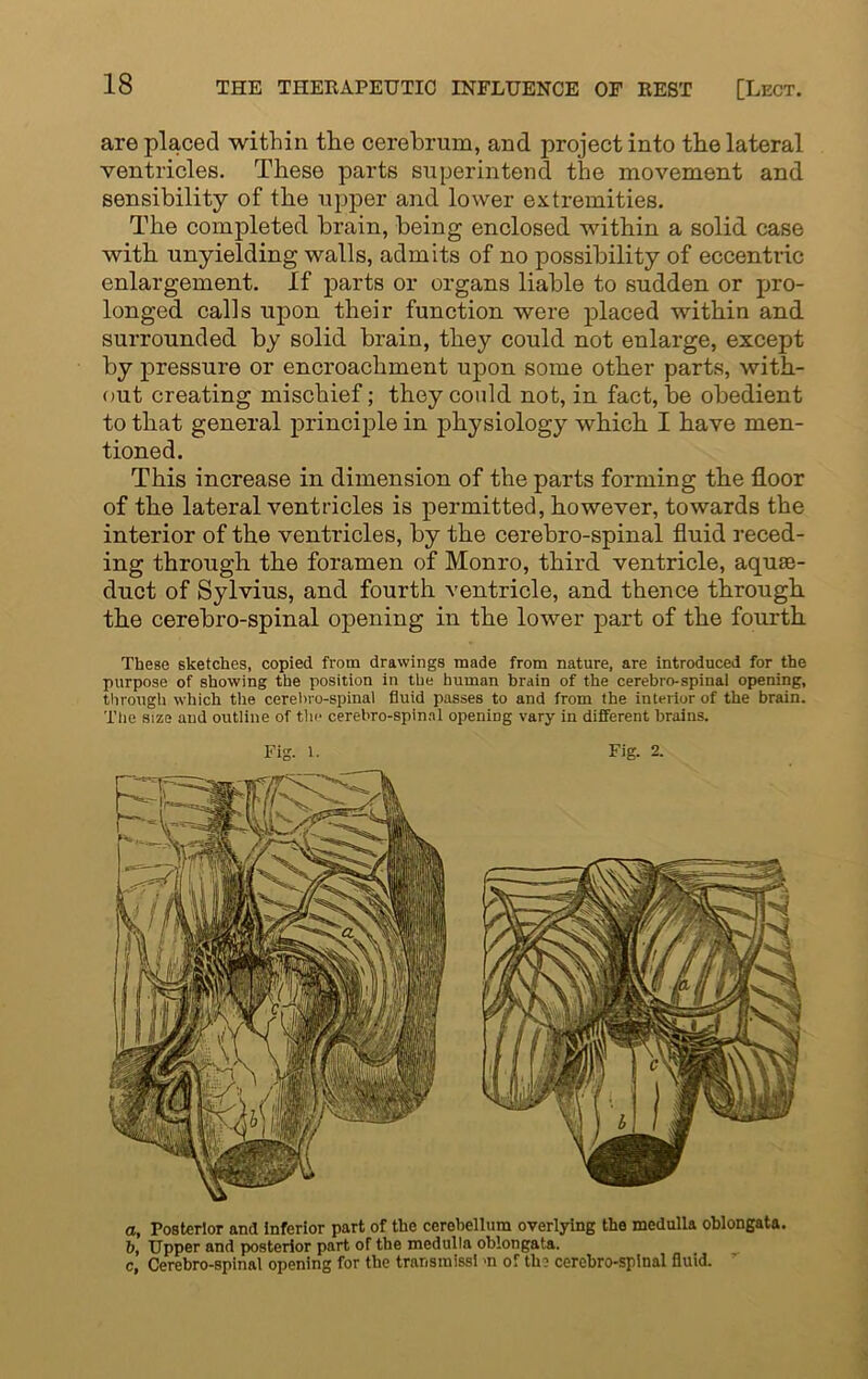 are placed within the cerebrum, and project into the lateral ventricles. These parts superintend the movement and sensibility of the upper and lower extremities. The completed brain, being enclosed within a solid case with unyielding walls, admits of no possibility of eccentric enlargement. If parts or organs liable to sudden or pro- longed calls upon their function were placed within and surrounded by solid brain, they could not enlarge, except by pressure or encroachment upon some other parts, with- out creating mischief; they could not, in fact, be obedient to that general principle in physiology which I have men- tioned. This increase in dimension of the parts forming the floor of the lateral vent rides is permitted, however, towards the interior of the ventricles, by the cerebro-spinal fluid reced- ing through the foramen of Monro, third ventricle, aque- duct of Sylvius, and fourth ventricle, and thence through the cerebro-spinal opening in the lower part of the fourth These sketches, copied from drawings made from nature, are introduced for the purpose of showing the position in the human brain of the cerebro-spinal opening, through which the cerebro-spinal fluid passes to and from the interior of the brain. The size and outline of the cerebro-spinal opening vary in different brains. Fig. 1. Fig. 2. a, Posterior and inferior part of the cerebellum overlying the medulla oblongata. b, Upper and posterior part of the medulla oblongata. c, Cerebro-spinal opening for the transmissi >n of the cerebro-spinal fluid.