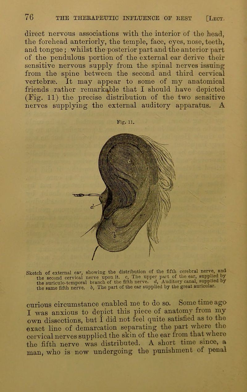 direct nervous associations with the interior of the head, the forehead anteriorly, the temple, face, eyes, nose, teeth, and tongue; whilst the posterior part and the anterior part of the pendulous portion of the external ear derive their sensitive nervous supply from the spinal nerves issuing from the spine between the second and third cervical vertebras. It may appear to some of my anatomical friends rather remarkable that I should have depicted (Fig. 11) the precise distribution of the two sensitive nerves supplying the external auditory apparatus. A Fig. 11. Sketch of external ear, showing the distribution of the fifth cerebral nerve, and the second cervical nerve upon it. c, The upper part of the ear, supplied by the auriculo temporal branch of the fifth nerve, d. Auditory canal, supplied by the same fifth nerve, b, The part of the ear supplied by the great auricular. curious circumstance enabled me to do so. Some time ago I was anxious to depict this piece of anatomy from my own dissections, but I did not feel quite satisfied as to the exact line of demarcation separating the part where the cervical nerves supplied the skin of the ear from that tvlieie the fifth nerve was distributed. A short time since, a man, who is now undergoing the punishment of penal
