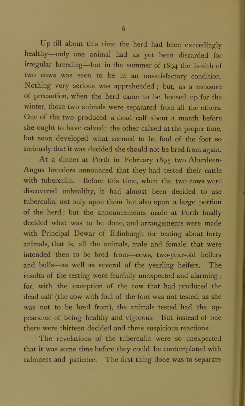 Up till about this time the herd had been exceedingly healthy—only one animal had as yet been discarded for irregular breeding—but in the summer of 1894 the health of two cows was seen to be in an unsatisfactory condition. Nothing very serious was apprehended ; but, as a measure of precaution, when the herd came to be housed up for the winter, those two animals were separated from all the others. One of the two produced a dead calf about a month before she ought to have calved; the other calved at the proper time, but soon developed what seemed to be foul of the foot so seriously that it was decided she should not be bred from again. At a dinner at Perth in February 1895 two Aberdeen- Angus breeders announced that they had tested their cattle with tuberculin. Before this time, when the two cows were discovered unhealthy, it had almost been decided to use tuberculin, not only upon them but also upon a large portion of the herd ; but the announcements made at Perth finally decided what was to be done, and arrangements were made with Principal Dewar of Edinburgh for testing about forty animals, that is, all the animals, male and female, that were intended then to be bred from—cows, two-year-old heifers and bulls—as well as several of the yearling heifers. The results of the testing were fearfully unexpected and alarming; for, with the exception of the cow that had produced the dead calf (the cow with foul of the foot was not tested, as she was not to be bred from), the animals tested had the ap- pearance of being healthy and vigorous. But instead of one there were thirteen decided and three suspicious reactions. The revelations of the tuberculin were so unexpected that it was some time before they could be contemplated with calmness and patience. The first thing done was to separate