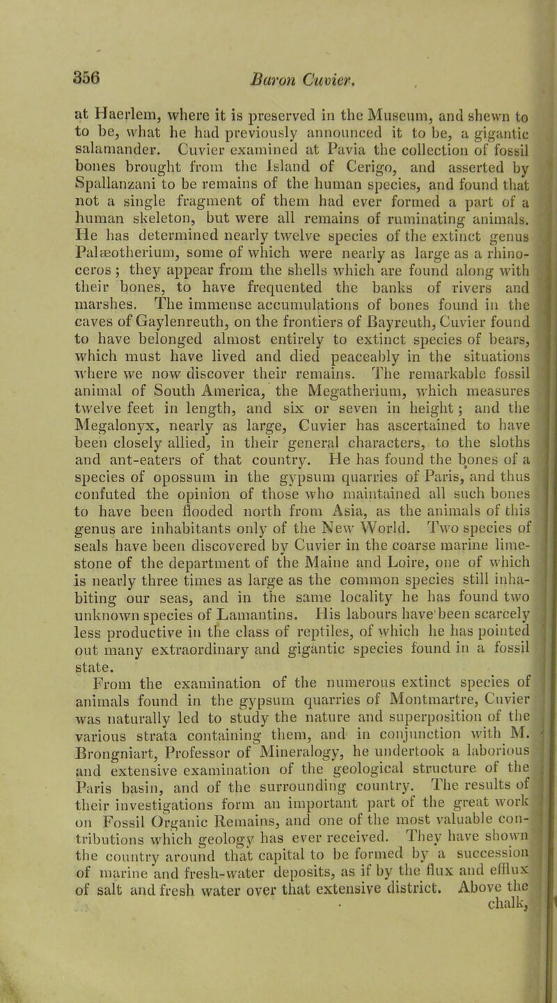 at Haerlem, where it is preserved in the Museum, and shewn to to be, what he had previously announced it to be, a gigantic salamander. Cuvier examined at Pavia the collection of fossil bones brought from the Island of Cerigo, and asserted by Spallanzani to be remains of the human species, and found that not a single fragment of them had ever formed a part of a human skeleton, but were all remains of ruminating animals. He has determined nearly twelve species of the extinct genus Palaeotherium, some of which were nearly as large as a rhino- ceros ; they appear from the shells which are found along with their bones, to have frequented the banks of rivers and marshes. The immense accumulations of bones found in the caves of Gaylenreuth, on the frontiers of Bayreuth, Cuvier found to have belonged almost entirely to extinct species of bears, which must have lived and died peaceably in the situations where we now discover their remains. The remarkable fossil animal of South America, the Megatherium, which measures twelve feet in length, and six or seven in height; and the Megalonyx, nearly as large, Cuvier has ascertained to have been closely allied, in their general characters, to the sloths and ant-eaters of that country. He has found the bones of a species of opossum in the gypsum quarries of Paris, and thus confuted the opinion of those who maintained all such bones to have been flooded north from Asia, as the animals of this genus are inhabitants only of the New World. Two species of seals have been discovered by Cuvier in the coarse marine lime- stone of the department of the Maine and Loire, one of which is nearly three times as large as the common species still inha- biting our seas, and in the same locality he has found two unknown species of Lamantins. His labours have been scarcely less productive in the class of reptiles, of which he has pointed out many extraordinary and gigantic species found in a fossil state. From the examination of the numerous extinct species of animals found in the gypsum quarries of Montmartre, Cuvier was naturally led to study the nature and superposition of the various strata containing them, and in conjunction with M. • Brongniart, Professor of Mineralogy, he undertook a laborious and extensive examination of the geological structure of the Paris basin, and of the surrounding country. The results of their investigations form an important part of the great work on Fossil Organic Remains, and one of the most valuable con- tributions which geology has ever received. They have shown the country around that capital to be formed by a succession of marine and fresh-water deposits, as if by the flux and efflux : of salt and fresh water over that extensive district. Above the chalk,