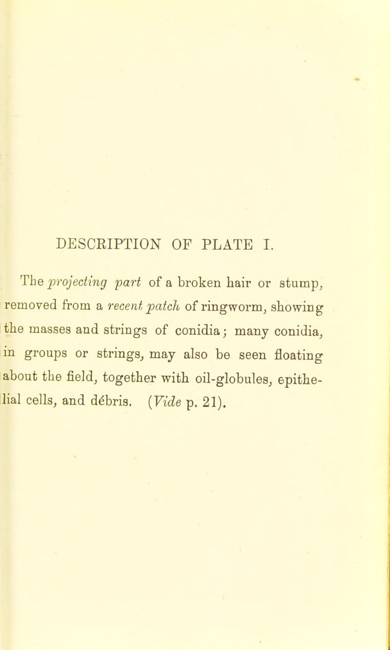 : The projecting part of a broken hair or stump^ removed from a recent patch of ringworm, showing the masses and strings of conidia; many conidia, in groups or strings, may also be seen floating about the field, together with oil-globules, epithe-