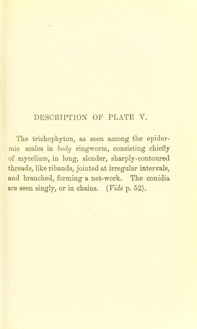 The trichophyton, as seen among the epider- mic scales in body ringworm, consisting chiefly of mycelium, in long, slender, sharply-contoured threads, like ribands, jointed at irregular intervals, and branched, forming a net-work. The conidia are seen singly, or in chains. {Vide p. 52).