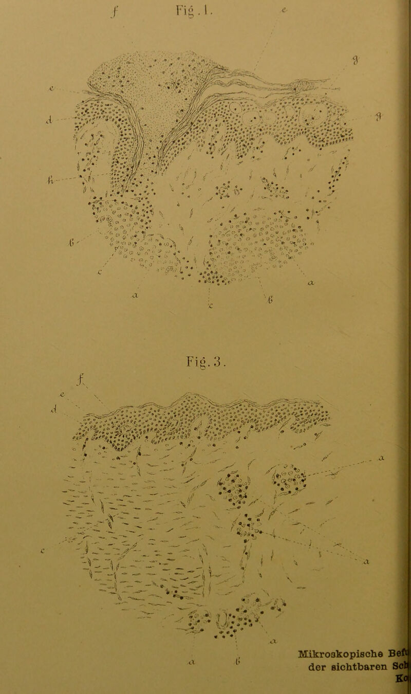 Fig.3. a- # ? * • # « ■• • i •« • « _