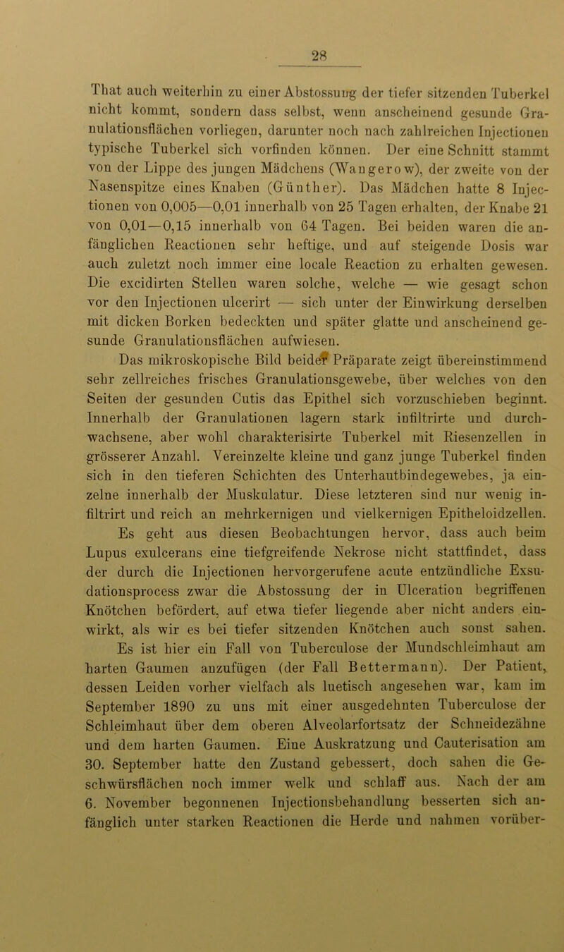 That auch weiterhin zu einer Abstossuug der tiefer sitzenden Tuberkel nicht koinrnt, sonderu dass selbst, weim ansclieinend gesuude Gra- nulationsfhichen vorliegeu, darunter noch nach zalilreichen Injectionen typische Tuberkel sich vorfiuden konnen. Der eiue Schnitt staiumt von der Lippe des juugen Madchens (Wangerow), der zweite von der Nasenspitze eines Knaben (Gunther). Das Madchen hatte 8 Injec- tionen von 0,005—0,01 innerhalb von 25 Tagen erhalten, der Knabe 21 von 0,01—0,15 innerhalb von 64 Tagen. Bei beiden waren die an- fiinglichen Reactionen sehr heftige, und auf steigende Dosis war aucb zuletzt nocli irnmer eiue locale Reaction zu erhalten gewesen. Die excidirten Stellen waren solche, welche — wie gesagt schon vor den Injectionen ulcerirt — sich unter der Einwirkung derselben mit dicken Borken bedeckten und spater glatte und anscheinend ge- sunde Granulationsflachen aufwiesen. Das mikroskopische Bild beidef Praparate zeigt iibereinstimmend sehr zellreiches frisches Granulationsgewebe, liber welches von den Seiten der gesuuden Cutis das Epitkel sich vorzuschieben beginnt. Innerhalb der Granulationen lagern stark iufiltrirte und durch- wachsene, aber wohl charakterisirte Tuberkel mit Riesenzellen in grosserer Anzahl. Yereinzelte kleine und ganz junge Tuberkel finden sich in den tieferen Schichten des Unterhautbindegewebes, ja ein- zelne innerhalb der Muskulatur. Diese letzteren sind nur wenig in- filtrirt und reich an mehrkernigen und vielkernigen Epitheloidzellen. Es geht aus diesen Beobachtungen hervor, dass auch beim Lupus exulcerans eiue tiefgreifende Nekrose nicht stattfindet, dass der durch die Injectionen hervorgerufene acute entziindliche Exsu- dationsprocess zwar die Abstossuug der in Ulceration begriffenen Knotchen befordert, auf etwa tiefer liegende aber uicht anders ein- wirkt, als wir es bei tiefer sitzenden Knotchen auch sonst sahen. Es ist liier eiu Fall von Tuberculose der Mundschleimhaut am harten Gaumen anzufiigen (der Fall Bettermann). Der Patient, dessen Leiden vorher vielfach als luetisch angesehen war, kam im September 1890 zu uns mit einer ausgedehnten Tuberculose der Schleimhaut liber dem oberen Alveolarfortsatz der Schneidezahne und dem harten Gaumen. Eine Auskratzung und Cauterisation am 30. September hatte den Zustand gebessert, doch sahen die Ge- schwiirsflachen noch irnmer welk und schlaflF aus. Nach der am 6. November begonnenen Injectionsbehandlung besserten sich au- fanglich unter starkeu Reactionen die Herde und nahmeu voruber-