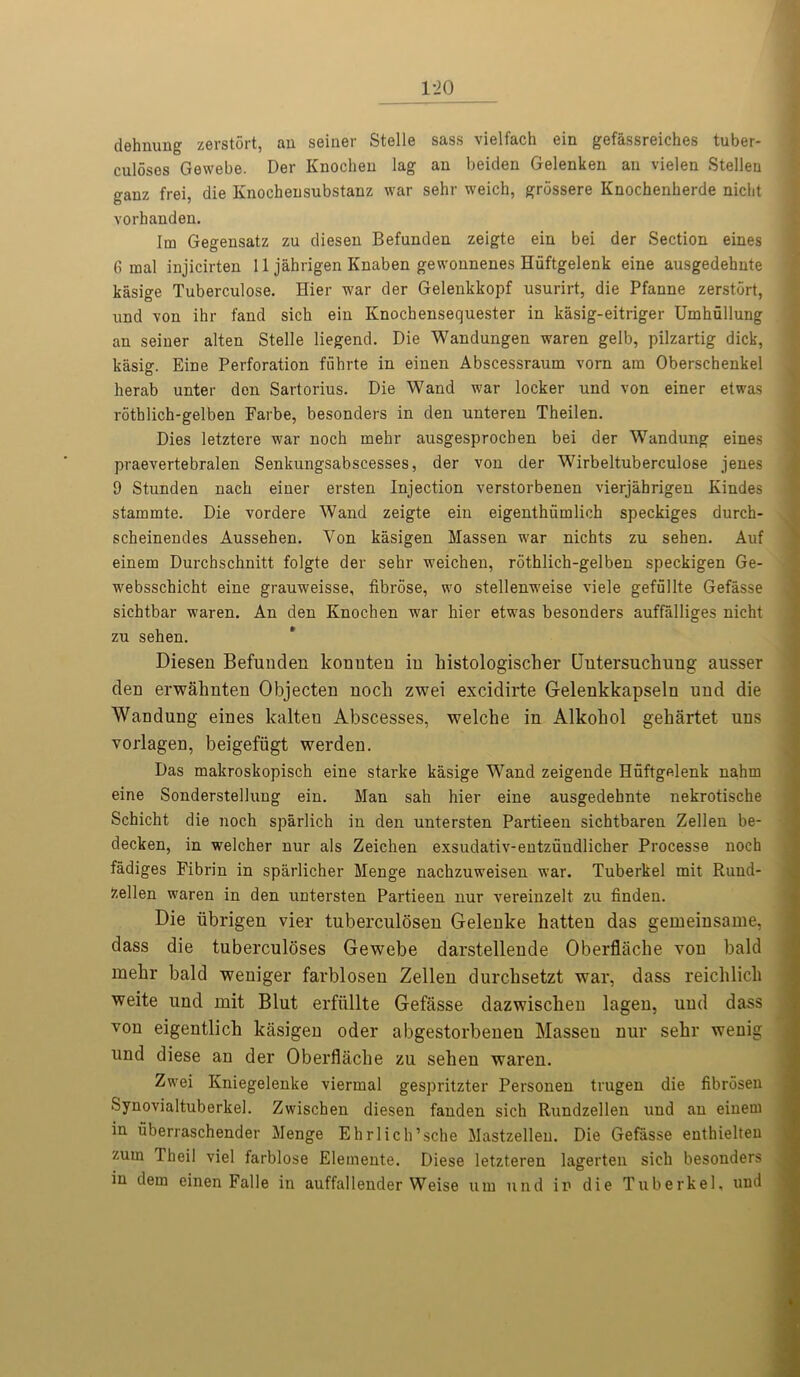 1-20 dehnung zerstort, au seiner Stelle sass vielfach ein gefassreiches tuber- culoses Gewebe. Der Knochen lag an beiden Gelenken an vielen Stellen ganz frei, die Ivnochensubstanz war sehr weich, grdssere Knochenherde nicbt vorhanden. Im Gegensatz zu diesen Befunden zeigte ein bei der Section eines 6 mal injicirten 11 jahrigen Knaben gewonnenes Hiiftgelenk eine ausgedehnte kasige Tuberculose. Hier war der Gelenkkopf usurirt, die Pfanne zerstort, und von ihr fand sich ein Knockensequester in kasig-eitriger Umhullung an seiner alten Stelle liegend. Die Wandungen waren gelb, pilzartig dick, kasig. Eine Perforation fiihrte in einen Abscessraum vorn am Oberschenkel herab unter den Sartorius. Die Wand war locker und von einer etwas rothlich-gelben Farbe, besonders in den unteren Theilen. Dies letztere war noch mehr ausgesprochen bei der Wandung eines praevertebralen Senkungsabscesses, der von der Wirbeltuberculose jenes 9 Stunden nacb einer ersten Injection verstorbenen vierjahrigen Kindes stammte. Die vordere Wand zeigte ein eigenthiimlich speckiges durch- scheinendes Aussehen. Von kasigen Massen war nichts zu sehen. Auf einem Durchschnitt folgte der sehr weichen, rothlich-gelben speckigen Ge- websschicht eine grauweisse, fibrose, wo stellenweise viele gefullte Gefasse sichtbar waren. An den Knochen war hier etwas besonders auffalliges nicht zu sehen. Diesen Befunden konnten in histologischer Uutersuchung ausser den erwahnten Objecten noch zwei excidirte Gelenkkapseln und die Wandung eines kalteu Abscesses, welche in Alkoliol gehartet uns vorlagen, beigefiigt werden. Das makroskopisch eine starke kasige Wand zeigende Huftgelenk nahm eine Sonderstellung ein. Man sah hier eine ausgedehnte nekrotische Schicht die noch sparlich in den untersten Partieen sichtbaren Zellen be- decken, in welcher nur als Zeichen exsudativ-entzundlicher Processe noch fadiges Fibrin in sparlicher Menge nachzuweisen war. Tuberkel mit Rund- Zellen waren in den untersten Partieen nur vereinzelt zu finden. Die iibrigen vier tuberculosen Gelenke hatten das gemeinsame, dass die tuberculoses Gewebe darstellende Oberflache von bald mehr bald weniger farblosen Zellen durchsetzt war, dass reichlicli weite und mit Blut erfullte Gefasse dazwisclien lagen, und dass von eigentlich kasigen oder abgestorbenen Massen nur sehr wenig und diese an der Oberflache zu sehen waren. Zwei Kniegelenke viermal gespritzter Personen trugen die fibrosen Synovialtuberkel. Zwischen diesen fanden sich Rundzellen und an einem in uberraschender Menge Ehrlich’sche Mastzellen. Die Gefasse enthielteu zuua Theil viel farblose Eleinente. Diese letzteren lagerten sich besonders in dem einen Falle in auffallender Weise um und in die Tuberkel, und