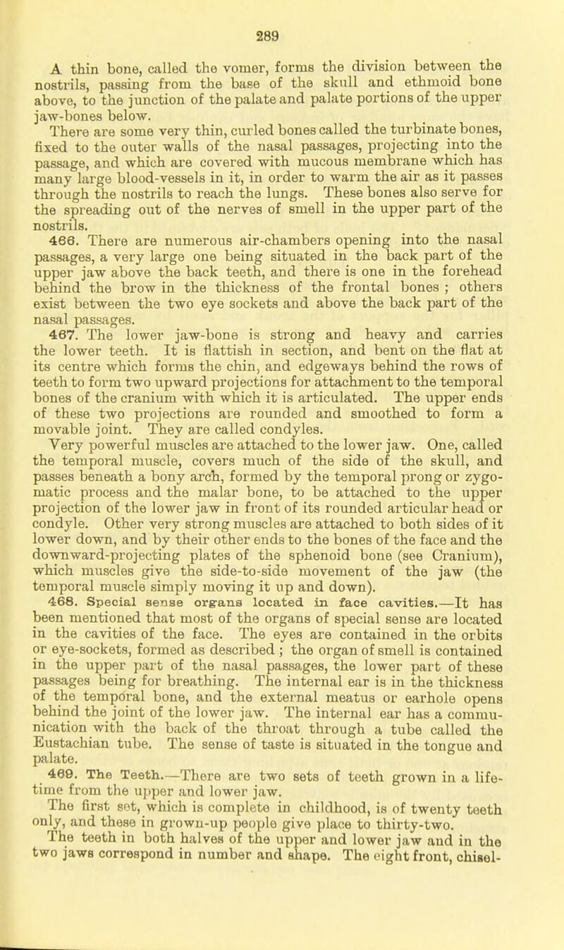 A thin bone, called the vomer, forms the division between the nostrils, passing from the base of the skull and ethmoid bone above, to the junction of the palate and palate portions of the upper jaw-bones below. There are some very thin, curled bones called the turbinate bones, fixed to the outer walls of the nasal passages, projecting into the passage, and which are covered with mucous membrane which has many large blood-vessels in it, in order to warm the air as it passes through the nostrils to reach the lungs. These bones also serve for the spreading out of the nerves of smell in the upper part of the nostrils. 466. There are numerous air-chambers opening into the nasal passages, a very large one being situated in the back part of the upper jaw above the back teeth, and there is one in the forehead behind the brow in the thickness of the frontal bones ; others exist between the two eye sockets and above the back part of the nasal passages. 467. The lower jaw-bone is strong and heavy and carries the lower teeth. It is flattish in section, and bent on the flat at its centre which forms the chin, and edgeways behind the rows of teeth to form two upward projections for attachment to the temporal bones of the cranium with which it is articulated. The upper ends of these two projections are rounded and smoothed to form a movable joint. They are called condyles. Very powerful muscles are attached to the lower jaw. One, called the temporal muscle, covers much of the side of the skull, and passes beneath a bony arch, formed by the temporal prong or zygo- matic process and the malar bone, to be attached to the upper projection of the lower jaw in front of its roimded articular head or condyle. Other very strong muscles are attached to both sides of it lower down, and by their other ends to the bones of the face and the downward-projecting plates of the sphenoid bone (see Cranium), which muscles give the side-to-side movement of the jaw (the temporal muscle simply moving it up and down). 468. Special sense org'aus located in face cavities.—It has been mentioned that most of the organs of special sense are located in the cavities of the face. The eyes are contained in the orbits or eye-sockets, formed as described ; the organ of smell is contained in the upper part of the nasal passages, the lower part of these passages being for breathing. The internal ear is in the thickness of the temporal bone, and the external meatus or earhole opens behind the joint of the lower jaw. The internal ear has a commu- nication with the back of the throat through a tube called the Eustachian tube. The sense of taste is situated in the tongue and palate. 469. The Teeth.—There are two sets of teeth grown in a life- time from the upper and lower jaw. The first set, which is complete in childhood, is of twenty teeth only, and those in grown-up people give place to thirty-two. The teeth in both halves of the upper and lower jaw and in the two jaws correspond in number and shape. The eight front, chisel-