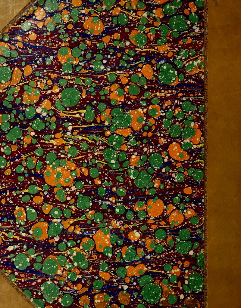 No text description is available for this image