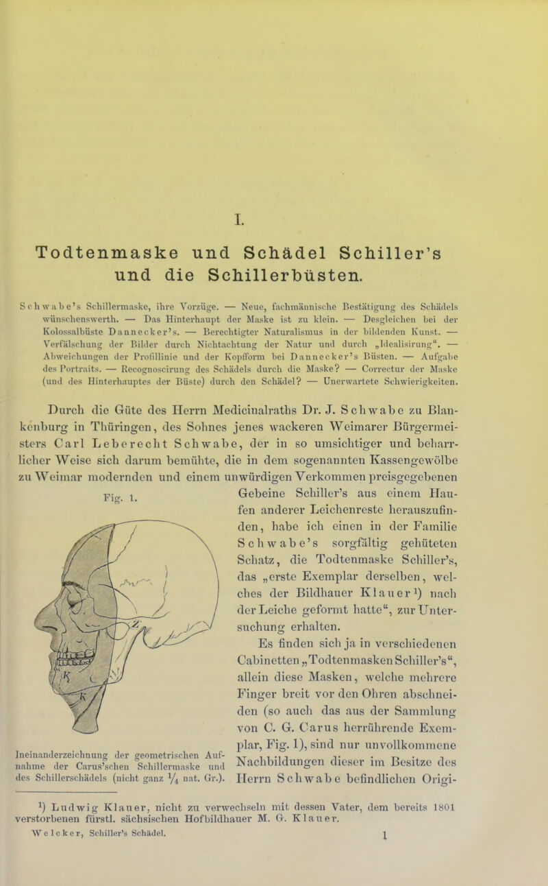 L Todtenmaske und Schädel Schiller's und die Schillerbüsten. Für. I. Sehwabe's Schillcrm;iskc, ihre Vorzüge. — Neue, fachmännische Bestätigung des Schädels wünse.henswerth. — Das Hinterhaupt der Maske ist zu klein. — Desgleichen bei der Kolossalbüste Danneckcr's. — Berechtigter Naturalismus in der bildenden Kunst. — Verfälschung der Bilder durch Nichtachtung der Natur und durch „Idealisirung. — Abweichungen der Prolillinie und der Kopfform bei Dannecker's Büsten. — Aufgabe des Portrait*. — Recognoscirung des Schädels durch die Maske? — Correctur der Maske (und des Hinterhauptes der Büste) durch den Schädel? — Unerwartete Schwierigkeiten. Durch die Güte des Herrn Medicinalraths Dr. J. Schwabe zu Blan- kenburg in Thüringen, des Sohnes jenes wackeren Weimarer Bürgermei- sters Carl Leb er echt Schwabe, der in so umsichtiger und beharr- licher Weise sich darum bemühte, die in dem sogenannten Kassengewölbe zu Weimar modernden und einem unwürdigen Verkommen preisgegebenen Gebeine Schiller's aus einem Hau- fen anderer Leichenreste herauszufin- den, habe ich einen in der Familie Sehwabe's sorgfältig gehüteten Schatz, die Todtenmaske Schiller's, das „erste Exemplar derselben, wel- ches der Bildhauer Kl au er1) nach der Leiche geformt hatte, zur Unter- suchung erhalten. Es finden sich ja in verschiedenen Cabinetten „Todtenmasken Schiller's, allein diese Masken, -welche mehrere Finger breit vor den Ohren abschnei- den (so auch das aus der Sammlung von C. G. Carus herrührende Exem- plar, Fig. 1), sind nur unvollkommene Nachbildungen dieser im Besitze des Herrn Schwabe befindlichen Origi- Ineinanderzeichnung der geometrischen Auf- nahme der Carus'schen Schillcrmaske und des Schillerschädels (nicht ganz l/i nat. Gr.). *) Ludwig Klauer, nicht zu verwechseln mit dessen Vater, dem bereits 1801 verstorbenen fiirstl. sächsischen Hofbildbauer M. Gr. Kl au er. We Icker, Schiller's Schilde). l