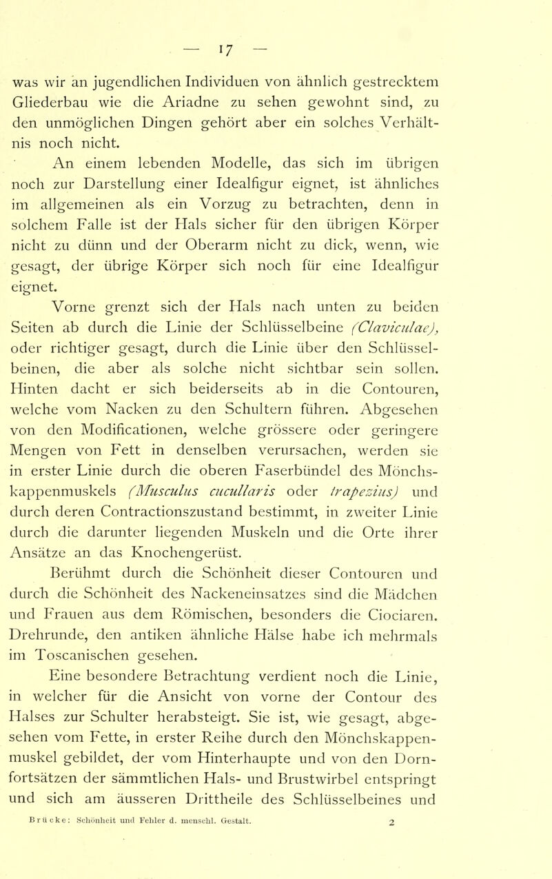 was wir an jugendlichen Individuen von ähnlich gestrecktem Gliederbau wie die Ariadne zu sehen gewohnt sind, zu den unmöglichen Dingen gehört aber ein solches Verhält- nis noch nicht. An einem lebenden Modelle, das sich im übrigen noch zur Darstellung einer Idealfigur eignet, ist ähnliches im allgemeinen als ein Vorzug zu betrachten, denn in solchem Falle ist der Hals sicher für den übrigen Körper nicht zu dünn und der Oberarm nicht zu dick, wenn, wie gesagt, der übrige Körper sich noch für eine Idealfigur eignet. Vorne grenzt sich der Hals nach unten zu beiden Seiten ab durch die Linie der Schlüsselbeine (Claviculae), oder richtiger gesagt, durch die Linie über den Schlüssel- beinen, die aber als solche nicht sichtbar sein sollen. Hinten dacht er sich beiderseits ab in die Contouren, welche vom Nacken zu den Schultern führen. Abgesehen von den Modificationen, welche grössere oder geringere Mengen von Fett in denselben verursachen, werden sie in erster Linie durch die oberen Faserbündel des Mönchs- kappenmuskels (Musculus cucullaris oder trapezius) und durch deren Contractionszustand bestimmt, in zweiter Linie durch die darunter liegenden Muskeln und die Orte ihrer Ansätze an das Knochengerüst. Berühmt durch die Schönheit dieser Contouren und durch die Schönheit des Nackeneinsatzes sind die Mädchen und Frauen aus dem Römischen, besonders die Ciociaren. Drehrunde, den antiken ähnliche Hälse habe ich mehrmals im Toscanischen gesehen. Eine besondere Betrachtung verdient noch die Linie, in welcher für die Ansicht von vorne der Contour des Halses zur Schulter herabsteigt. Sie ist, wie gesagt, abge- sehen vom Fette, in erster Reihe durch den Mönchskappen- muskel gebildet, der vom Hinterhaupte und von den Dorn- fortsätzen der sämmtlichen Hals- und Brustwirbel entspringt und sich am äusseren Drittheile des Schlüsselbeines und Brücke: Schönheit und Fehler d. menschl. Gestalt. 2