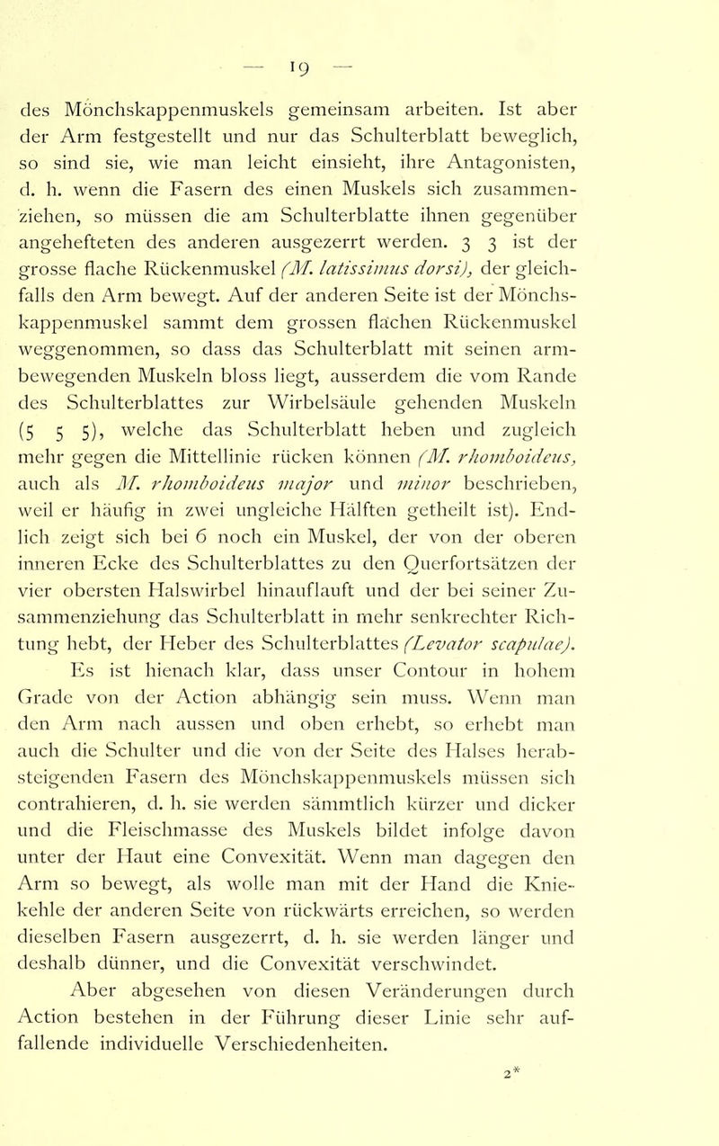 T9 des Mönchskappenmuskels gemeinsam arbeiten. Ist aber der Arm festgestellt und nur das Schulterblatt beweglich, so sind sie, wie man leicht einsieht, ihre Antagonisten, d. h. wfenn die Fasern des einen Muskels sich zusammen- ziehen, so müssen die am Schulterblatte ihnen gegenüber angehefteten des anderen ausgezerrt werden. 3 3 ist der grosse flache Rückenmuskel (M. latissimus dorsi), der gleich- falls den Arm bewegt. Auf der anderen Seite ist der Mönchs- kappenmuskel sammt dem grossen flächen Rückenmuskel weggenommen, so dass das Schulterblatt mit seinen arm- bewegenden Muskeln bloss liegt, ausserdem die vom Rande des Schulterblattes zur Wirbelsäule gehenden Muskeln (5 5 5), welche das Schulterblatt heben und zugleich mehr gegen die Mittellinie rücken können (M. rhomboideus, auch als M. rhomboideus major und minor beschrieben, weil er häufig in zwei ungleiche Hälften getheilt ist). End- lich zeigt sich bei 6 noch ein Muskel, der von der oberen inneren Ecke des Schulterblattes zu den Querfortsätzen der vier obersten Halswirbel hinauflauft und der bei seiner Zu- sammenziehung das Schulterblatt in mehr senkrechter Rich- tung hebt, der Heber des Schulterblattes (Levator scapulcie). Es ist hienach klar, dass unser Contour in hohem Grade von der Action abhängig sein muss. Wenn man den Arm nach aussen und oben erhebt, so erhebt man auch die Schulter und die von der Seite des Halses herab- steigenden Fasern des Mönchskappenmuskels müssen sich contrahieren, d. h. sie werden sämmtlich kürzer und dicker und die Fleischmasse des Muskels bildet infolge davon unter der Haut eine Convexität. Wenn man dagegen den Arm so bewegt, als wolle man mit der Hand die Knie- kehle der anderen Seite von rückwärts erreichen, so werden dieselben Fasern ausgezerrt, d. h. sie werden länger und deshalb dünner, und die Convexität verschwindet. Aber abgesehen von diesen Veränderungen durch Action bestehen in der Führung dieser Linie sehr auf- fallende individuelle Verschiedenheiten. 2