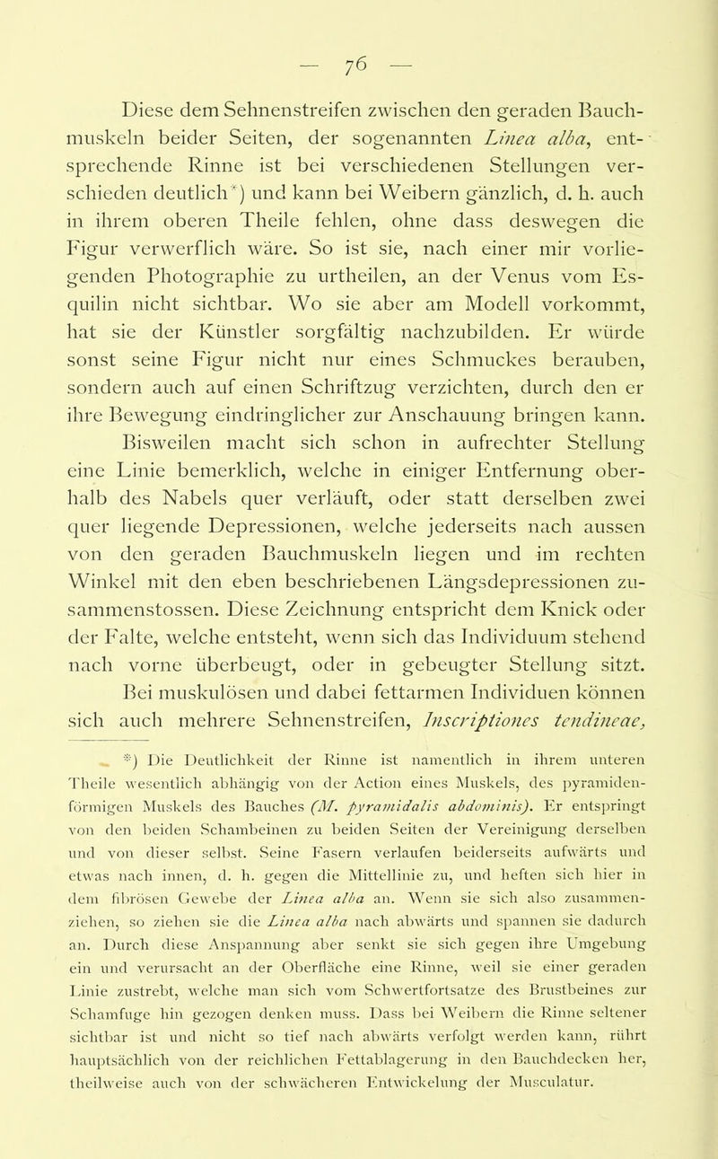 Diese dem Sehnenstreifen zwischen den geraden Bauch- muskeln beider Seiten, der sogenannten Linea alba, ent- sprechende Rinne ist bei verschiedenen Stellungen ver- schieden deutlich*) und kann bei Weibern gänzlich, d. h. auch in ihrem oberen Theile fehlen, ohne dass deswegen die Figur verwerflich wäre. So ist sie, nach einer mir vorlie- genden Photographie zu urtheilen, an der Venus vom Es- quilin nicht sichtbar. Wo sie aber am Modell vorkommt, hat sie der Künstler sorgfältig nachzubilden. Er würde sonst seine Figur nicht nur eines Schmuckes berauben, sondern auch auf einen Schriftzug verzichten, durch den er ihre Bewegung eindringlicher zur Anschauung bringen kann. Bisweilen macht sich schon in aufrechter Stellung eine Linie bemerklich, welche in einiger Entfernung ober- halb des Nabels quer verläuft, oder statt derselben zwei quer liegende Depressionen, welche jederseits nach aussen von den geraden Bauchmuskeln liegen und im rechten Winkel mit den eben beschriebenen Längsdepressionen zu- sammenstossen. Diese Zeichnung entspricht dem Knick oder der Falte, welche entsteht, wenn sich das Individuum stehend nach vorne überbeugt, oder in gebeugter Stellung sitzt. Bei muskulösen und dabei fettarmen Individuen können sich auch mehrere Sehnenstreifen, Inscriptiones tendineae, *) Die Deutlichkeit der Rinne ist namentlich in ihrem unteren Theile 'wesentlich abhängig von der Action eines Muskels, des pyramiden- förmigen Muskels des Bauches (M. pyramidalis abdominis). Er entspringt von den beiden Schambeinen zu beiden Seiten der Vereinigung derselben und von dieser selbst. Seine Fasern verlaufen beiderseits aufwärts und etwas nach innen, d. h. gegen die Mittellinie zu, und heften sich hier in dem fibrösen Gewebe der Linea alba an. Wenn sie sich also zusammen- ziehen, so ziehen sie die Linea alba nach abwärts und spannen sie dadurch an. Durch diese Anspannung aber senkt sie sich gegen ihre Umgebung ein und verursacht an der Oberfläche eine Rinne, weil sie einer geraden Linie zustrebt, welche man sich vom Schwertfortsatze des Brustbeines zur Schamfuge hin gezogen denken muss. Dass bei Weibern die Rinne seltener sichtbar ist und nicht so tief nach abwärts verfolgt werden kann, rührt hauptsächlich von der reichlichen Fettablagerung in den Bauchdecken her, theilweise auch von der schwächeren Entwickelung der Musculatur.