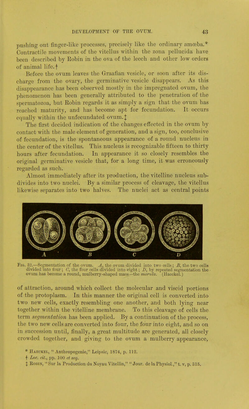 pushing out fingcr-lilve processes, precisely like the ordinary amoeba.* Contractile movements of the vitellus within the zona pellucida have been described by Eobin in the ova of the leech and other low orders of animal life.f Before the ovum leaves the Graalian vesicle, or soon after its dis- charge from the ovary, the germinative vesicle disappears. As this disappearance has been observed mostly in the impregnated ovum, the phenomenon has been generally attributed to the penetration of the spermatozoa, but Eobin regards it as simply a sign that the ovum has reached maturity, and has become apt for fecundation. It occurs equally within the unfecundated ovum. I The first decided indication of the changes effected in the ovum by contact with the male element of generation, and a sign, too, conclusive of fecundation, is the spontaneous appearance of a round nucleus in the center of the vitellus. This nucleus is recognizable fifteen to thirty hours after fecundation. In appearance it so closely resembles the original germinative vesicle that, for a long time, it was erroneously regarded as such. Almost immediately after its production, the vitelline nucleus sub- divides into two nuclei. By a similar process of cleavage, the vitellus likewise separates into two halves. The nuclei act as central points Fig. 32._—Sce:mentatioii of the ovum. the ovum divided into two cells; the two cells divided into four; C, the four cells divided into eight; D, by repeated segmentation the ■ ovum has become a round, mulberry-shaped mass—the morula. (Haeckel.) of attraction, around which collect the molecular and viscid portions of the protoplasm. In this manner the original cell is converted into two new cells, exactly resembling one another, and both lying near together within the vitelline membrane. To this cleavage of cells the term segmentation has been applied. By a continuation of the process, the two new cells are converted into four, the four into eight, and so on in succession until, finally, a great multitude are generated, all closely crowded together, and giving to the ovum a mulberry appearance, * Haeckel,  Anthropogenie, Leipsic, 18'74, p. 112. f Loc. cit., pp. 100 scq. X Robin, Sur la Production du Noyau Vitellin, Jour, de la Physiol., t. v, p. 316.