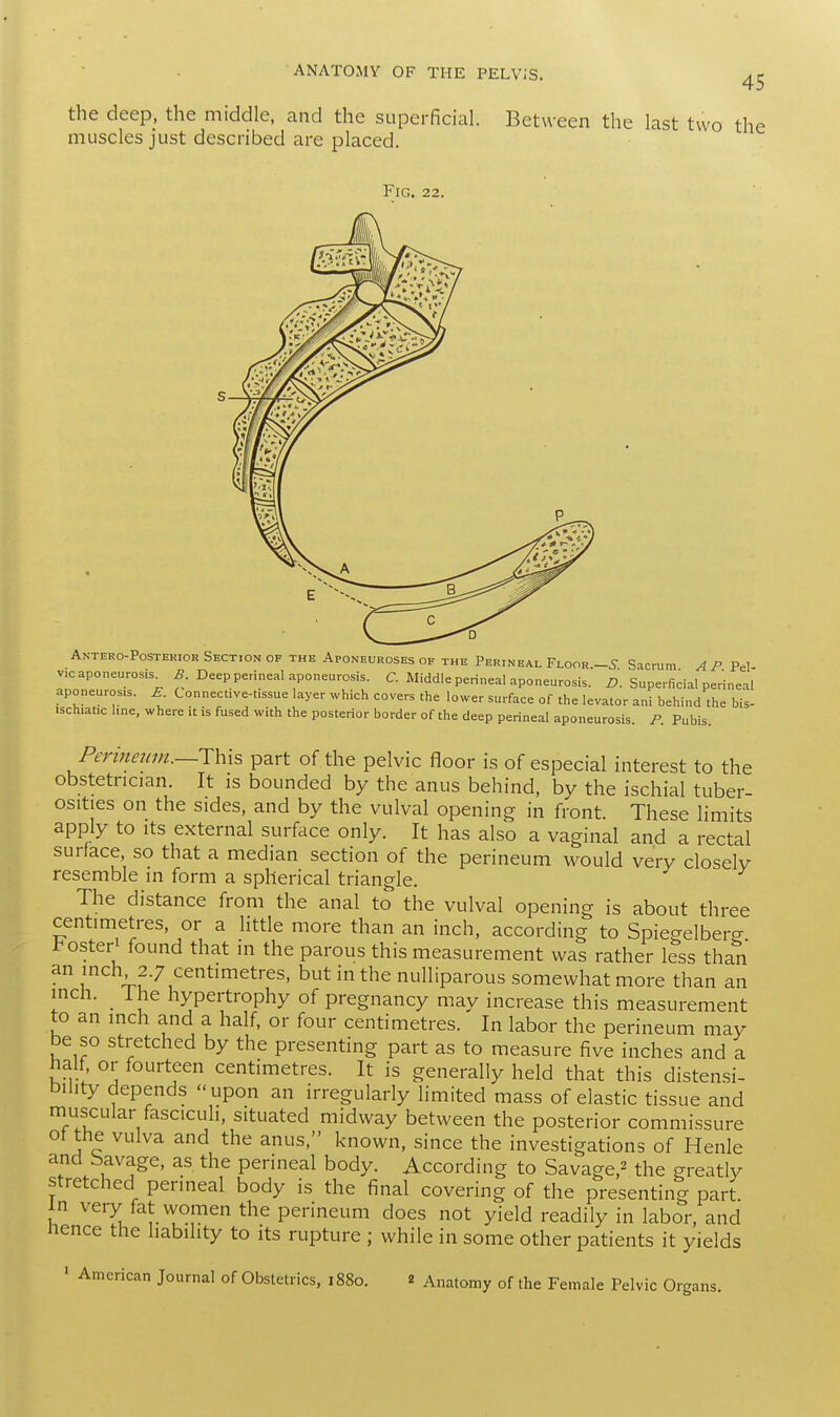 45 the deep, the middle, and the superficial, muscles just described are placed. Between the last two the Fig. 22. Anteroposterior Section of the Aponeuroses of the Perineal Floor.-.? Sacrum A P Pel- v.c aponeurosis B Deep perineal aponeurosis. £ Middle perineal aponeurosis. D. Superficial perineal aponeurosis. E Connective-t.ssue layer which covers the lower surface of the levator ani behind the bis- iscluatic line, where it is fused with the posterior border of the deep perineal aponeurosis. P. Pubis. Perineum.—This part of the pelvic floor is of especial interest to the obstetrician. It is bounded by the anus behind, by the ischial tuber- osities on the sides, and by the vulval opening in front. These limits apply to its external surface only. It has also a vaginal and a rectal surface, so that a median section of the perineum would very closely resemble in form a spherical triangle. The distance from the anal to the vulval opening is about three centimetres or a little more than an inch, according to Spiegelberg. foster' found that in the parous this measurement was rather less than an inch 2.7 centimetres, but in the nulliparous somewhat more than an inch, l ie hypertrophy of pregnancy may increase this measurement to an inch and a half, or four centimetres. In labor the perineum may be so stretched by the presenting part as to measure five inches and a half, or fourteen centimetres. It is generally held that this distensi- bility depends upon an irregularly limited mass of elastic tissue and muscular fasciculi, situated midway between the posterior commissure of the vulva and the anus, known, since the investigations of Henle and bavage, as the perineal body. According to Savage,2 the greatly stretched perineal body is the final covering of the presenting part in very fat women the perineum does not yield readily in labor, and nence the liability to its rupture ; while in some other patients it yields ' American Journal of Obstetrics, 1880. 2 Anatomy of the Female Pelvic Organs.